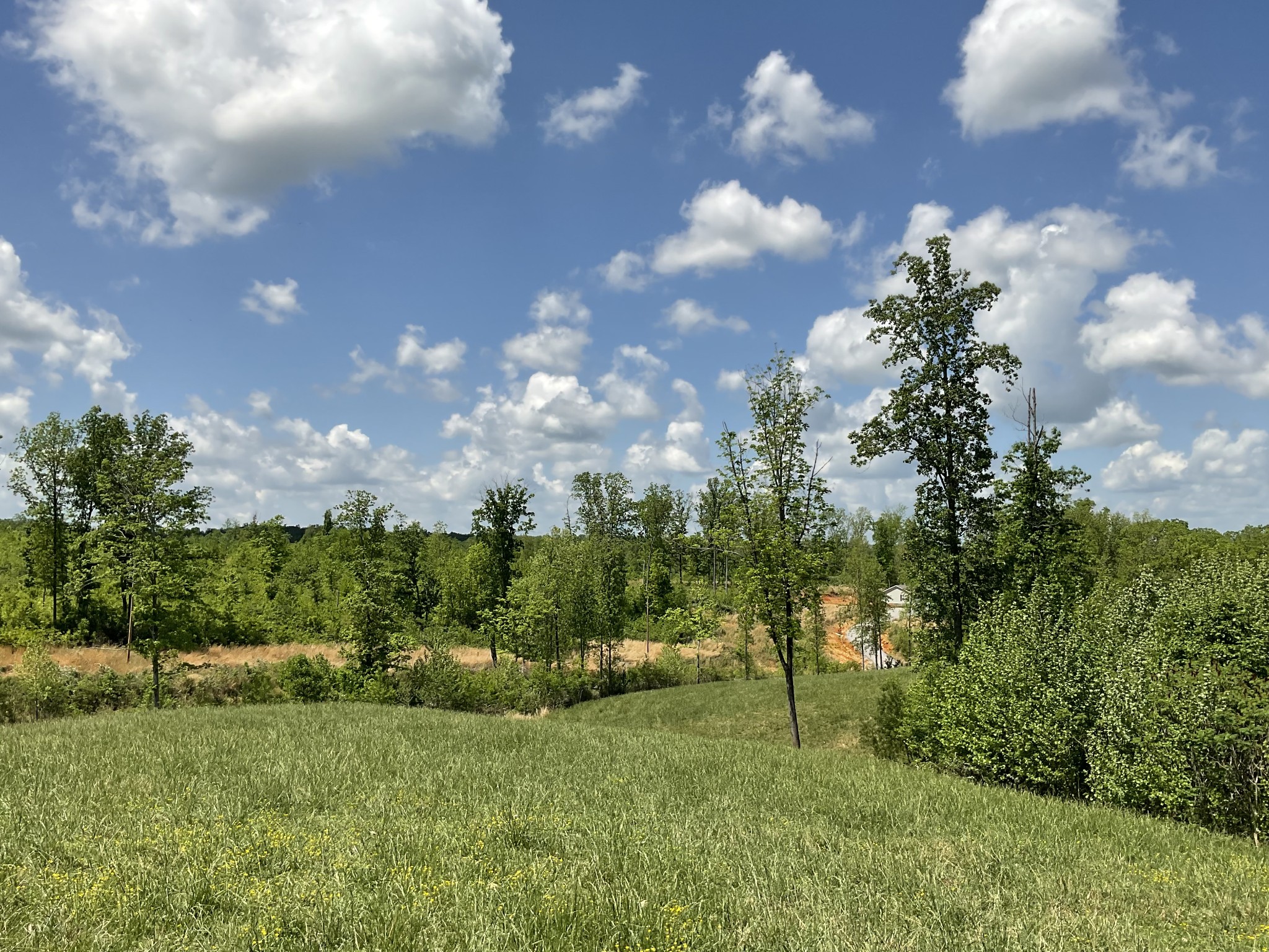 1 Brigham Branch Road Erin, TN 37061 - Photo 27 of 42 Gallery Image 27
