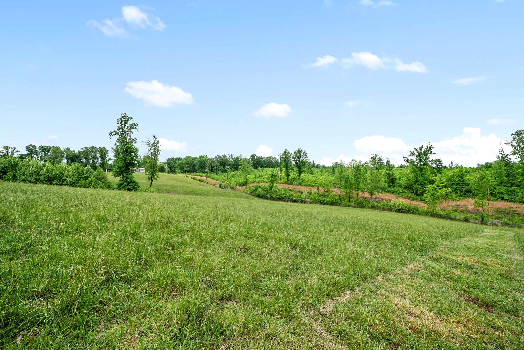 1 Brigham Branch Road Erin, TN 37061 - Photo 28 of 42 Gallery Image 28