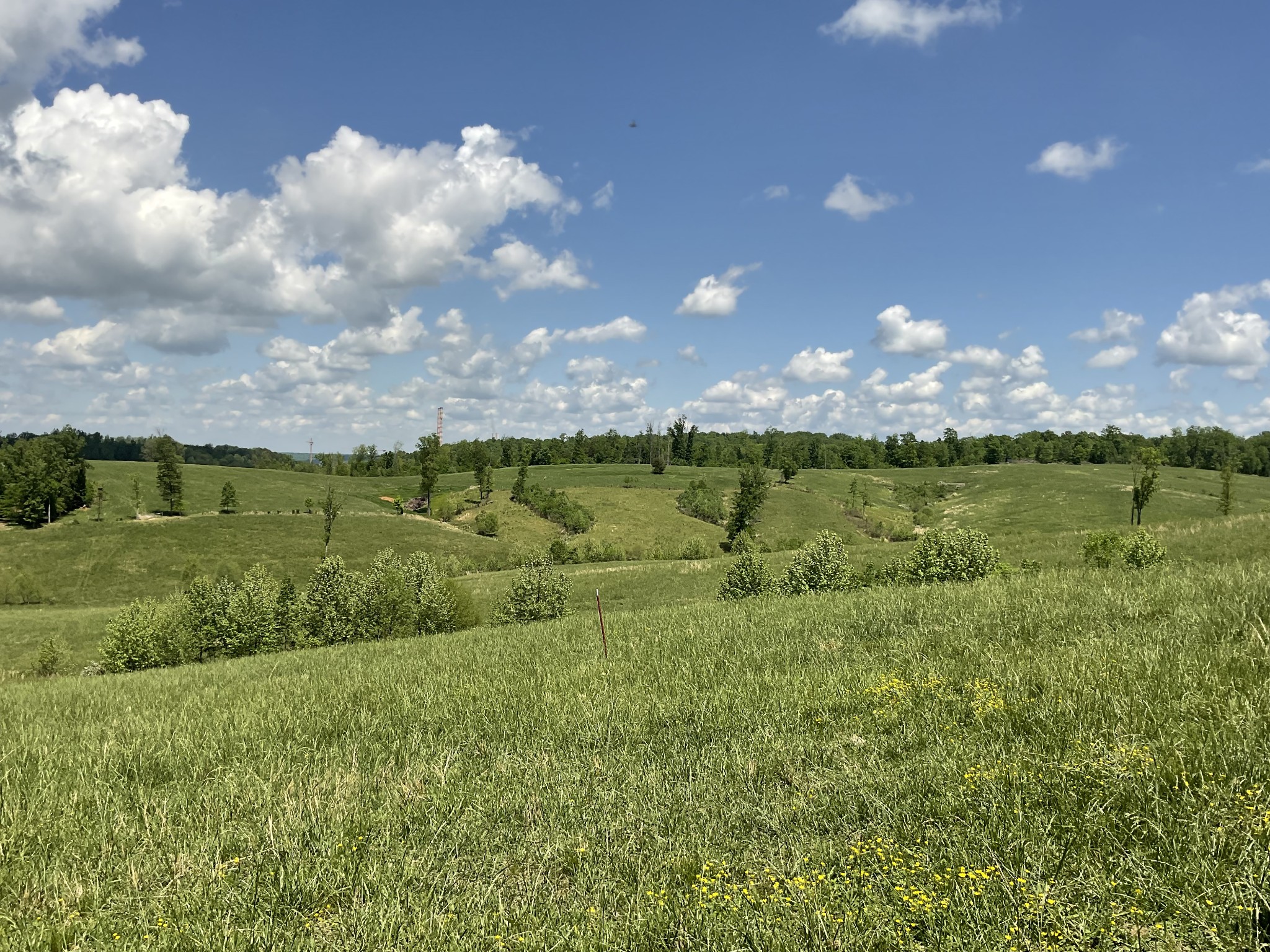 1 Brigham Branch Road Erin, TN 37061 - Photo 29 of 42 Gallery Image 29