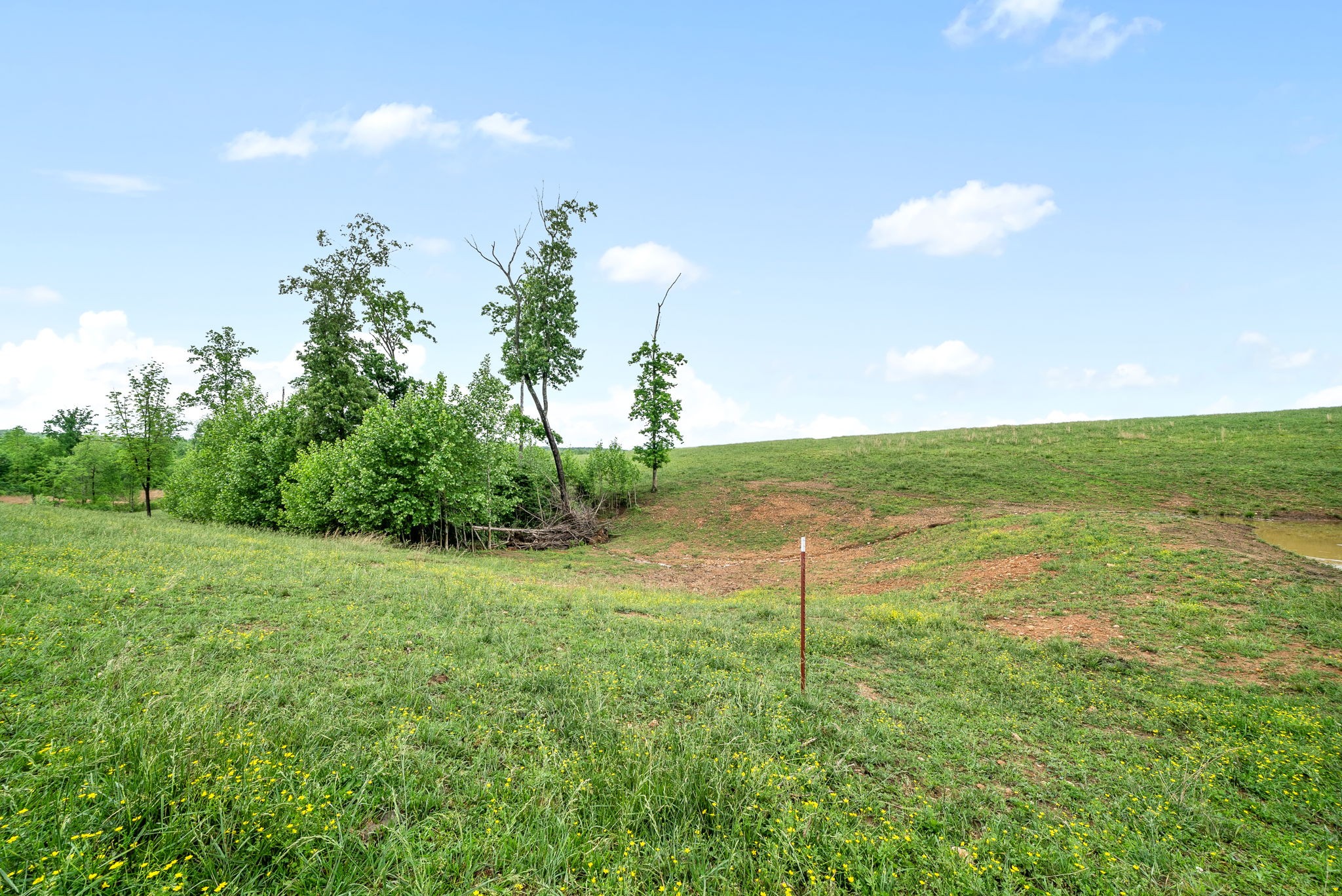1 Brigham Branch Road Erin, TN 37061 - Photo 30 of 42 Gallery Image 30
