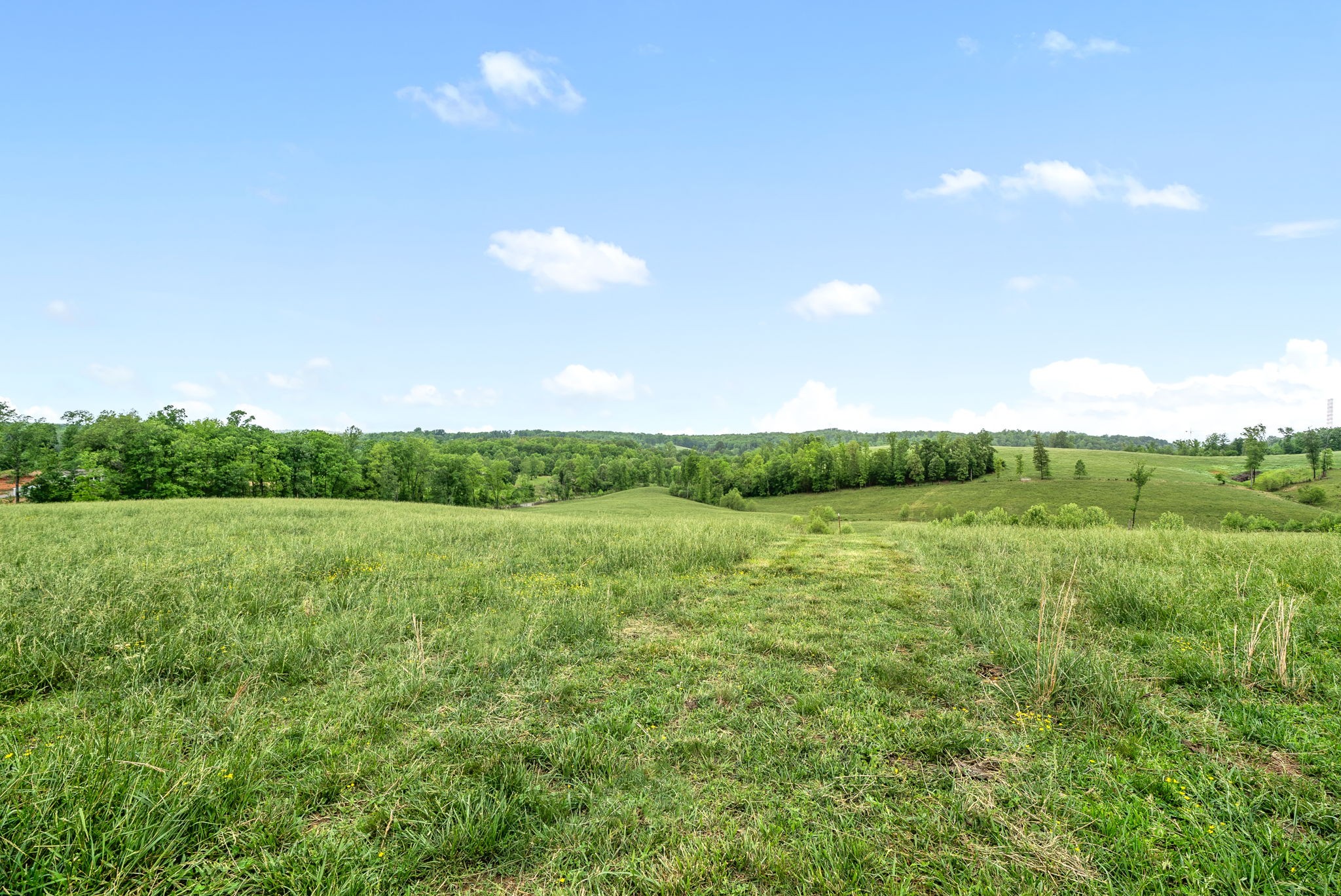 1 Brigham Branch Road Erin, TN 37061 - Photo 3 of 42 Gallery Image 3