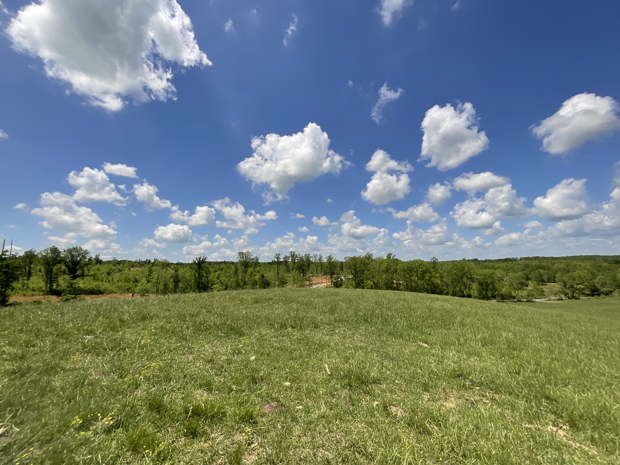 1 Brigham Branch Road Erin, TN 37061 - Photo 31 of 42 Gallery Image 31