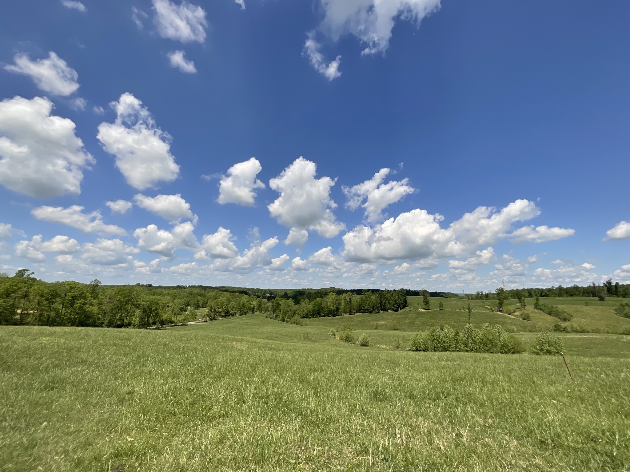1 Brigham Branch Road Erin, TN 37061 - Photo 32 of 42 Gallery Image 32