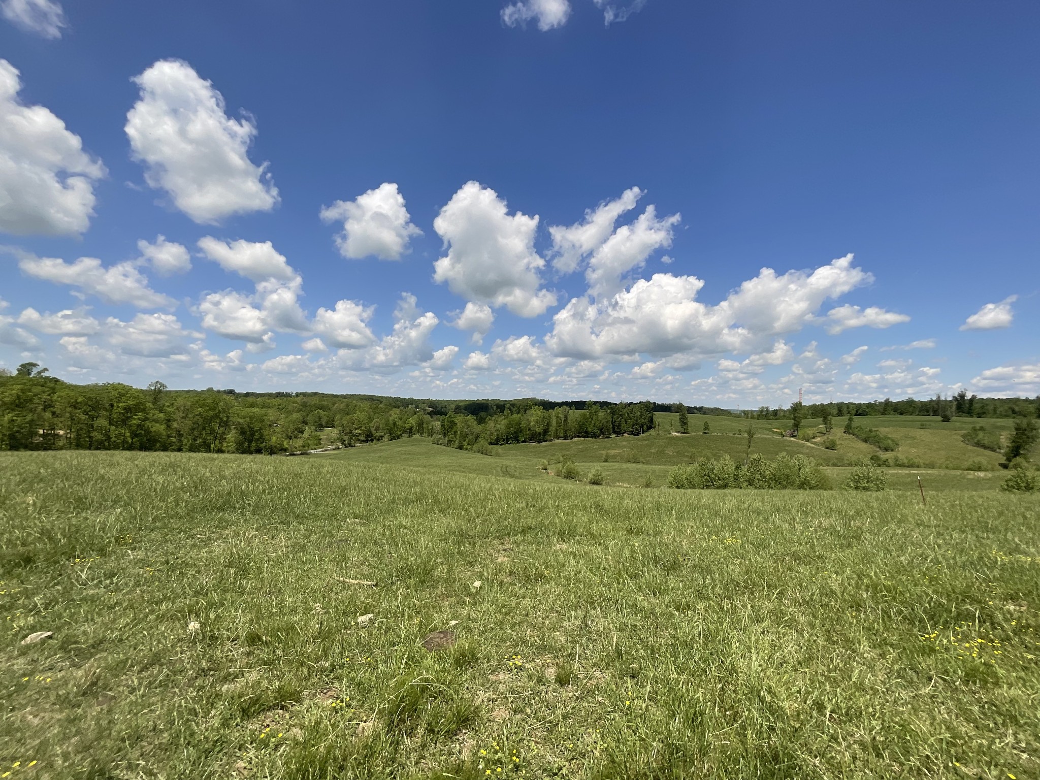 1 Brigham Branch Road Erin, TN 37061 - Photo 33 of 42 Gallery Image 33
