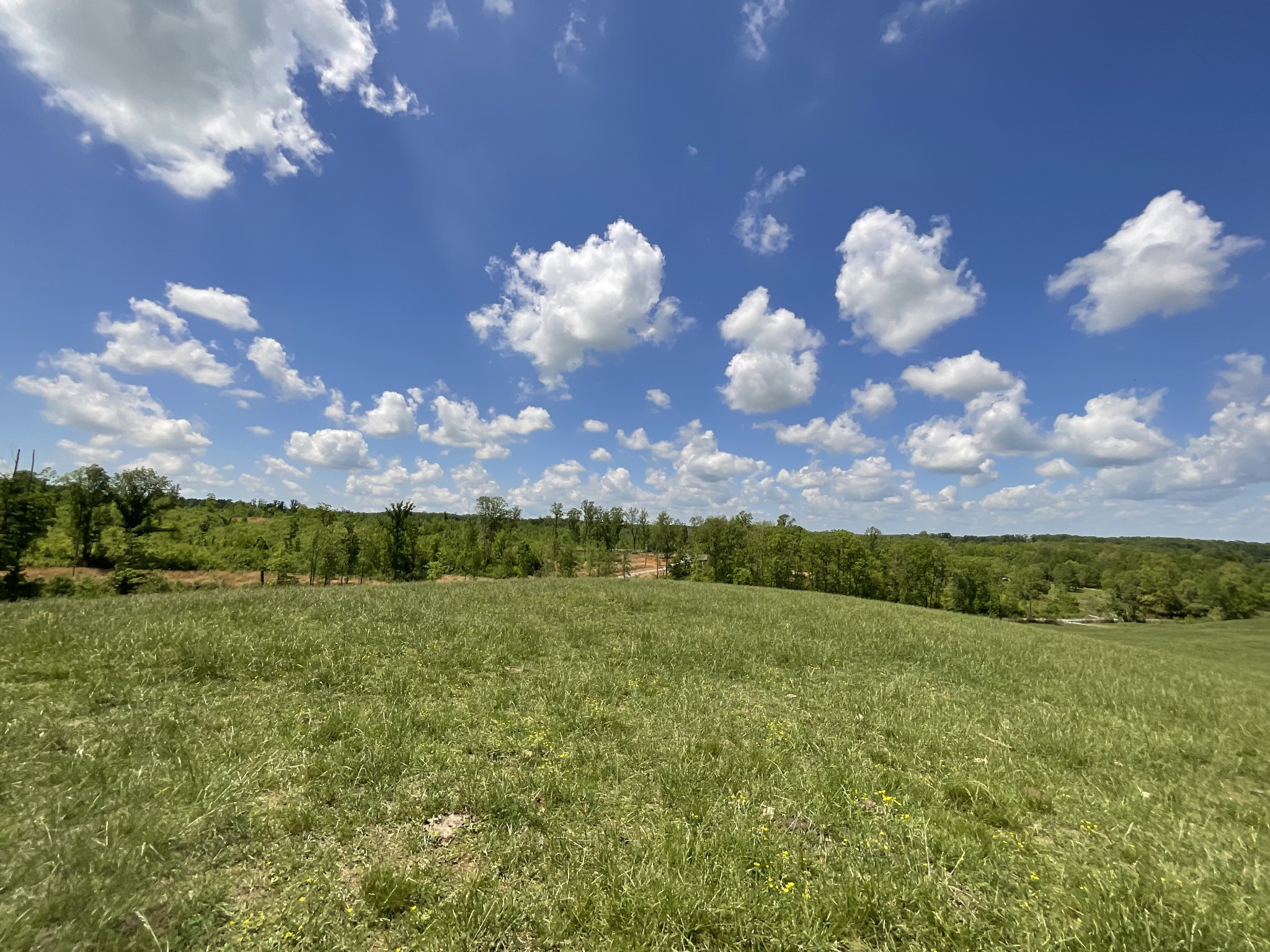 1 Brigham Branch Road Erin, TN 37061 - Photo 34 of 42 Gallery Image 34