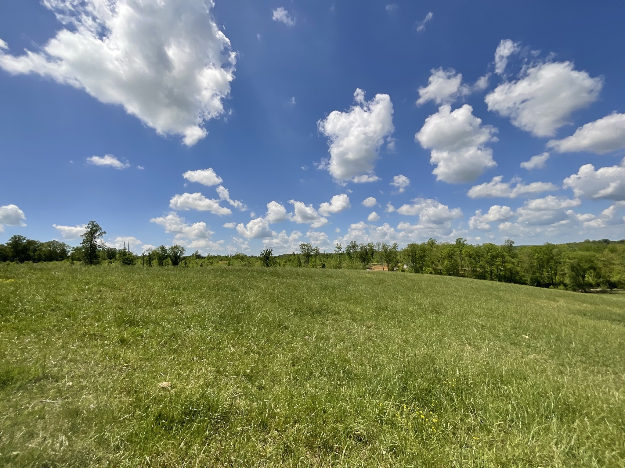 1 Brigham Branch Road Erin, TN 37061 - Photo 35 of 42 Gallery Image 35