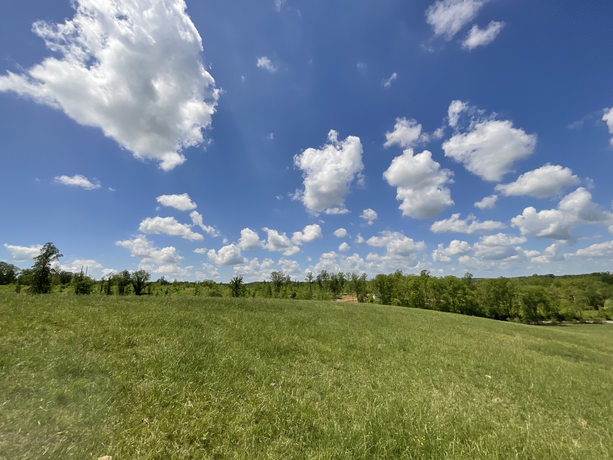 1 Brigham Branch Road Erin, TN 37061 - Photo 36 of 42 Gallery Image 36