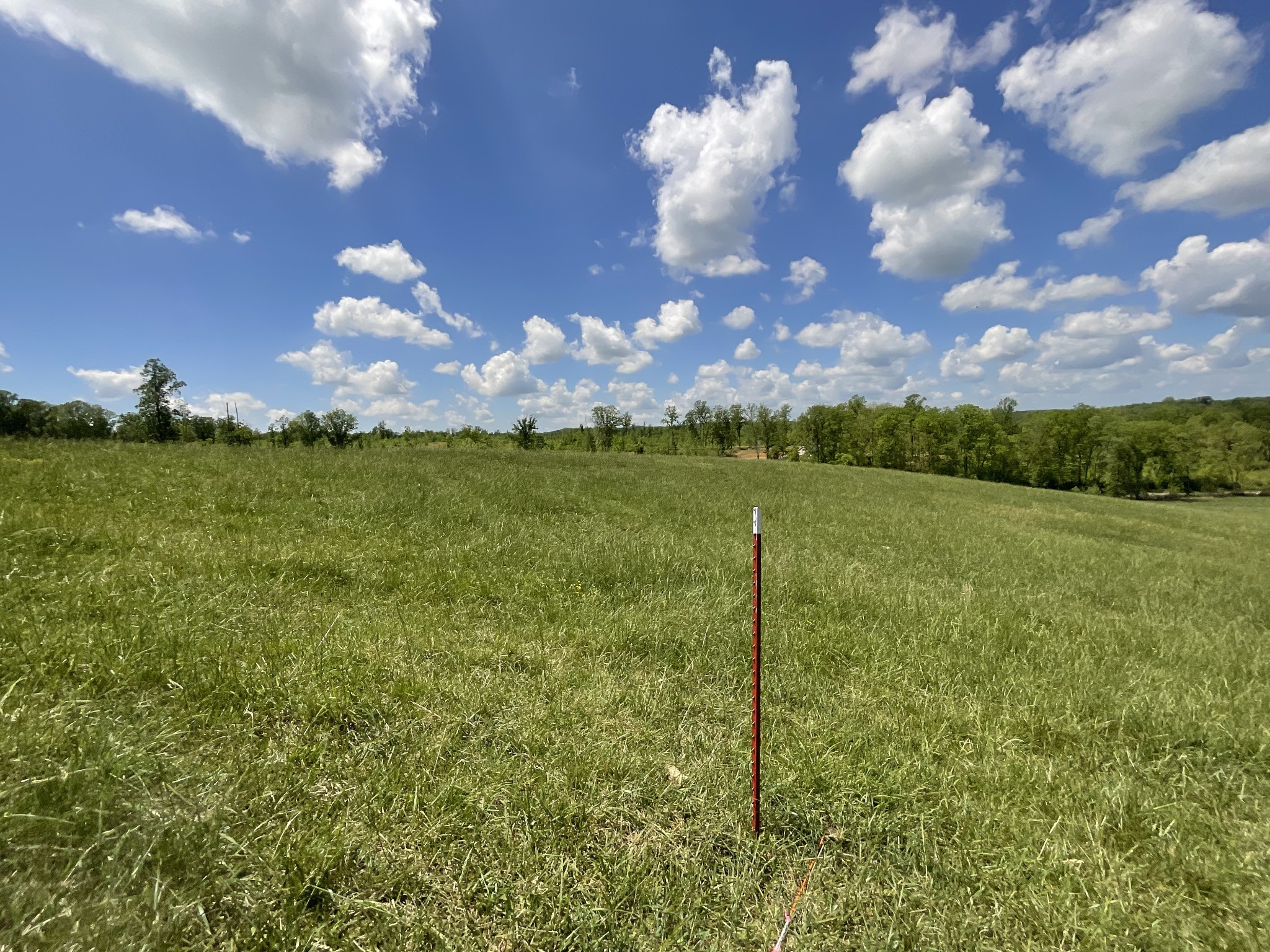 1 Brigham Branch Road Erin, TN 37061 - Photo 37 of 42 Gallery Image 37