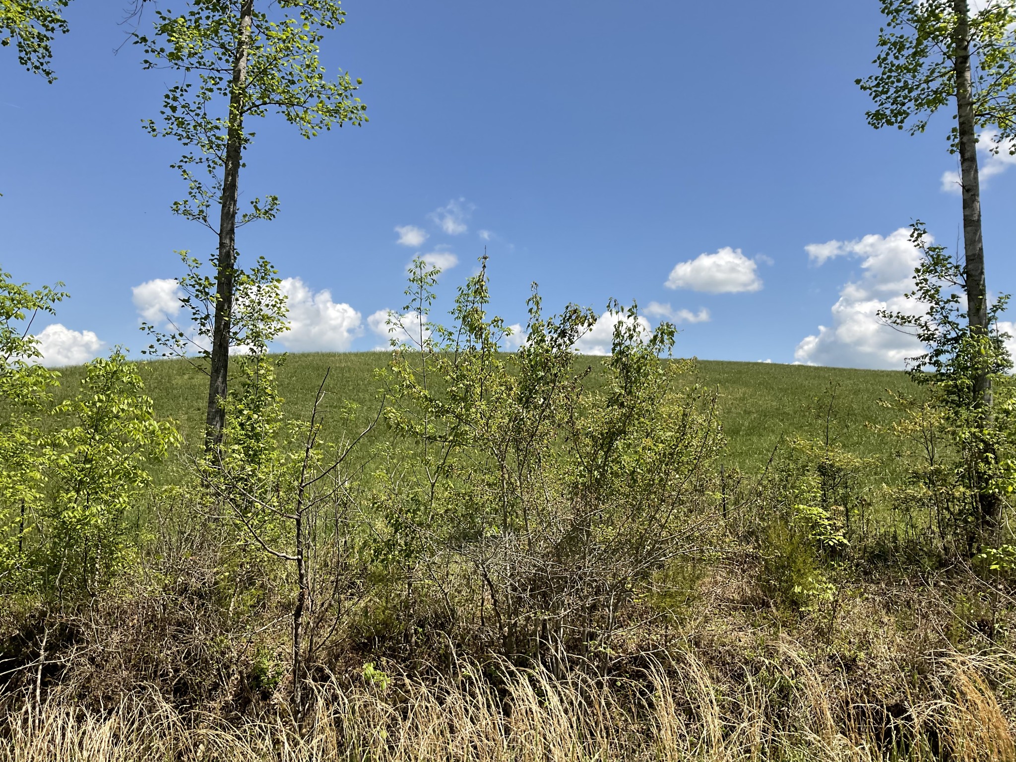 1 Brigham Branch Road Erin, TN 37061 - Photo 38 of 42 Gallery Image 38