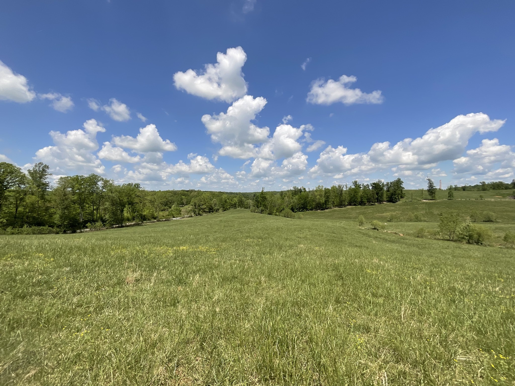 1 Brigham Branch Road Erin, TN 37061 - Photo 4 of 42 Gallery Image 4