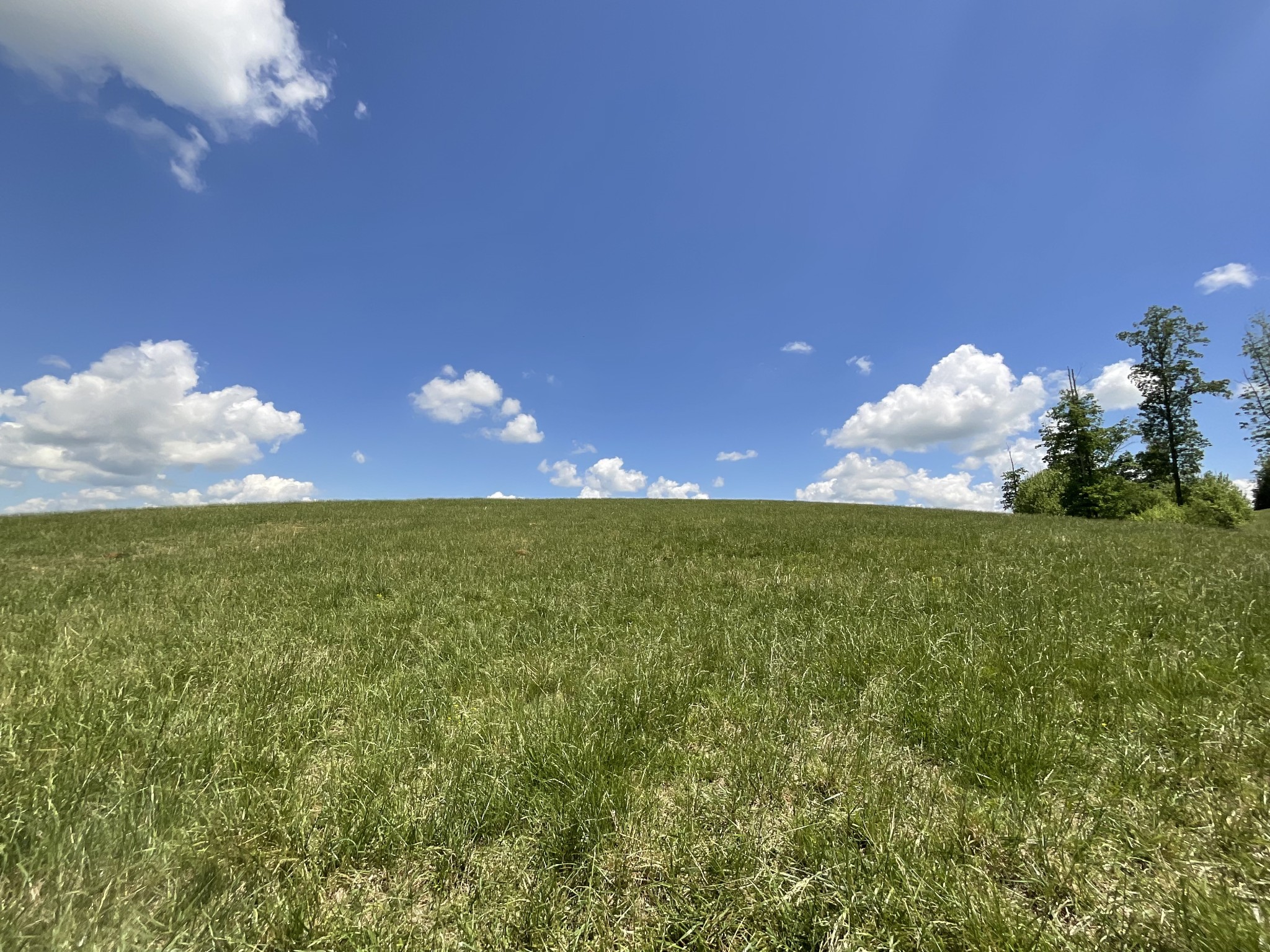 1 Brigham Branch Road Erin, TN 37061 - Photo 6 of 42 Gallery Image 6