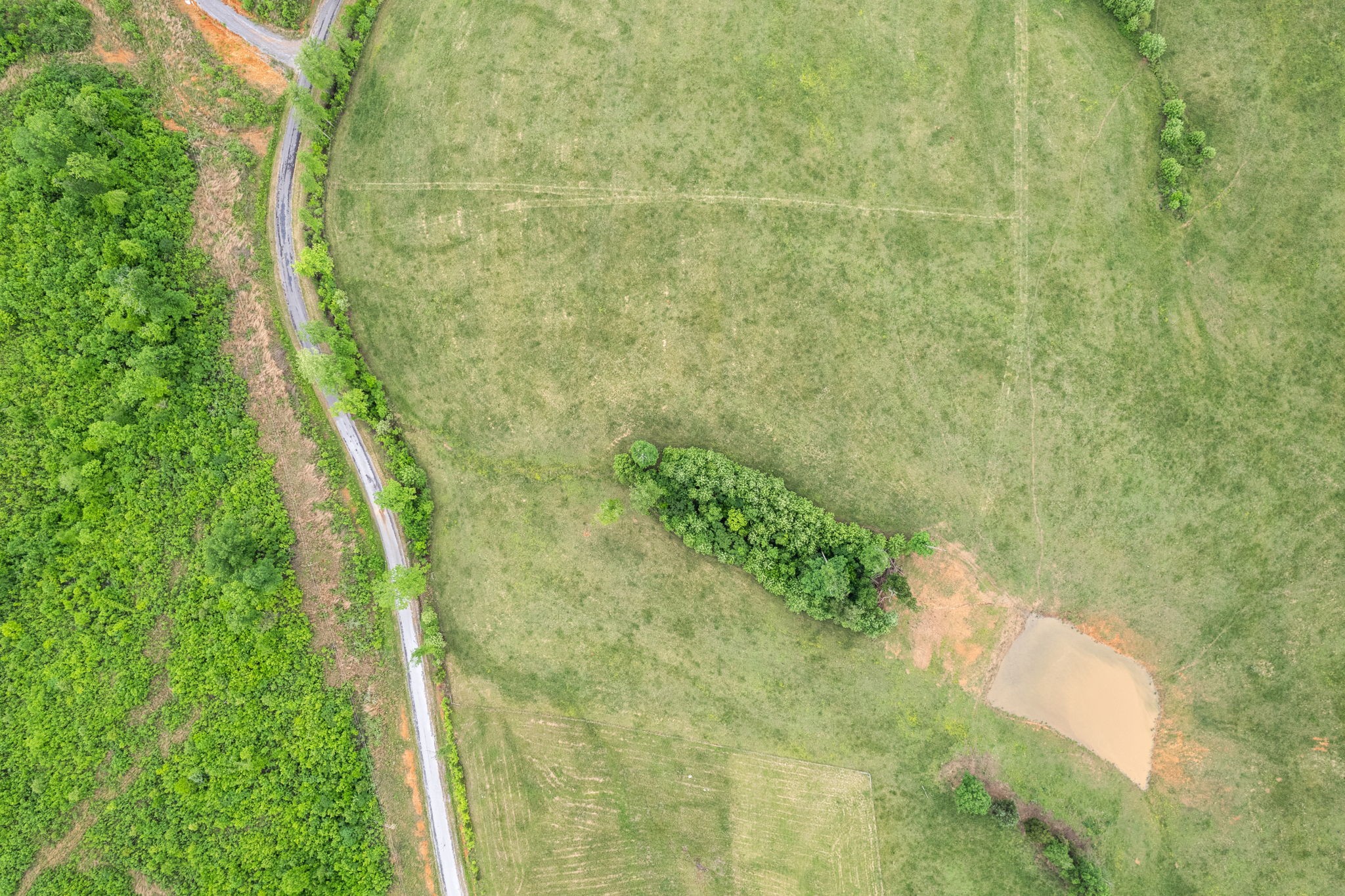 1 Brigham Branch Road Erin, TN 37061 - Photo 7 of 42 Gallery Image 7