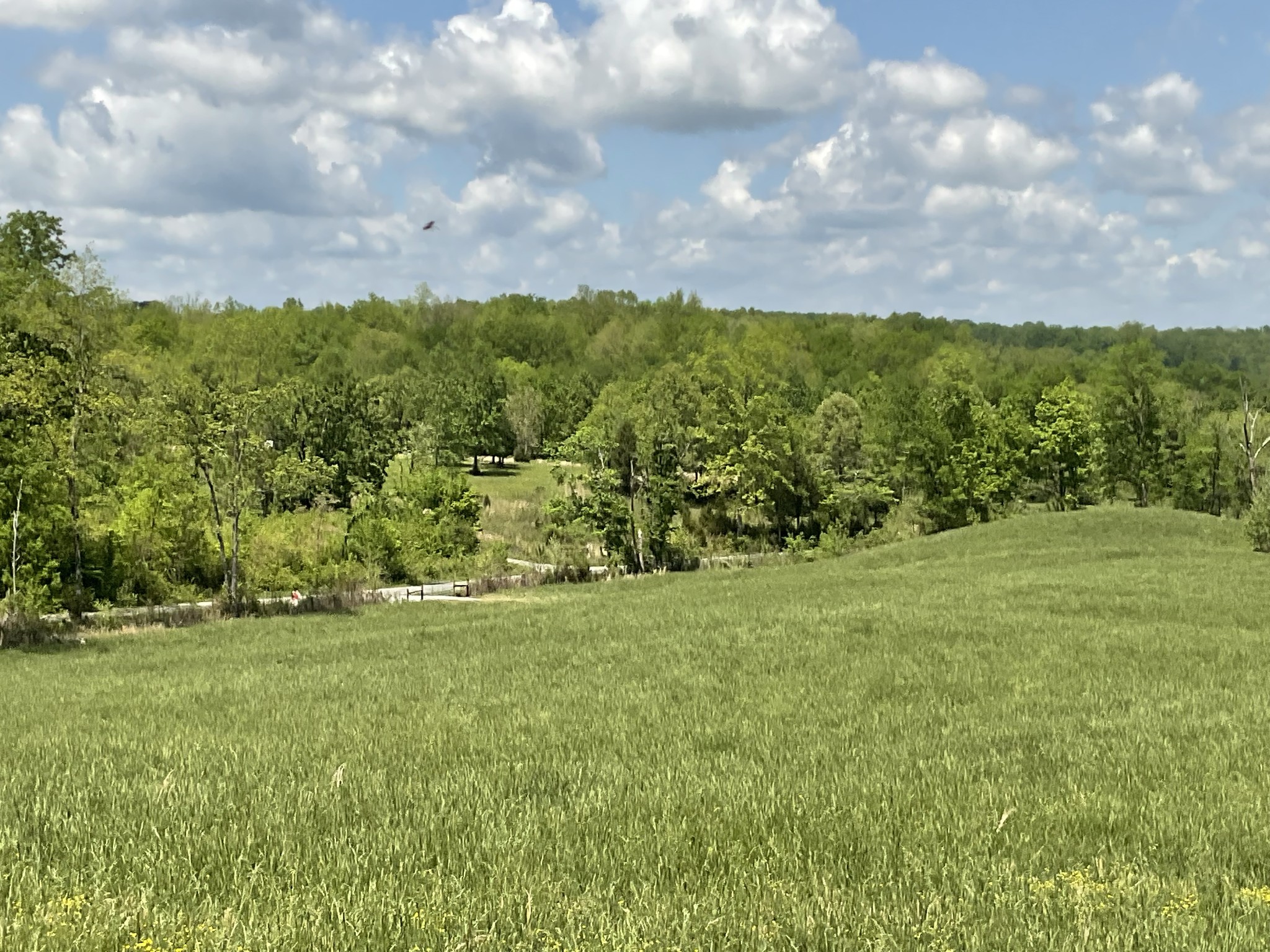 1 Brigham Branch Road Erin, TN 37061 - Photo 8 of 42 Gallery Image 8