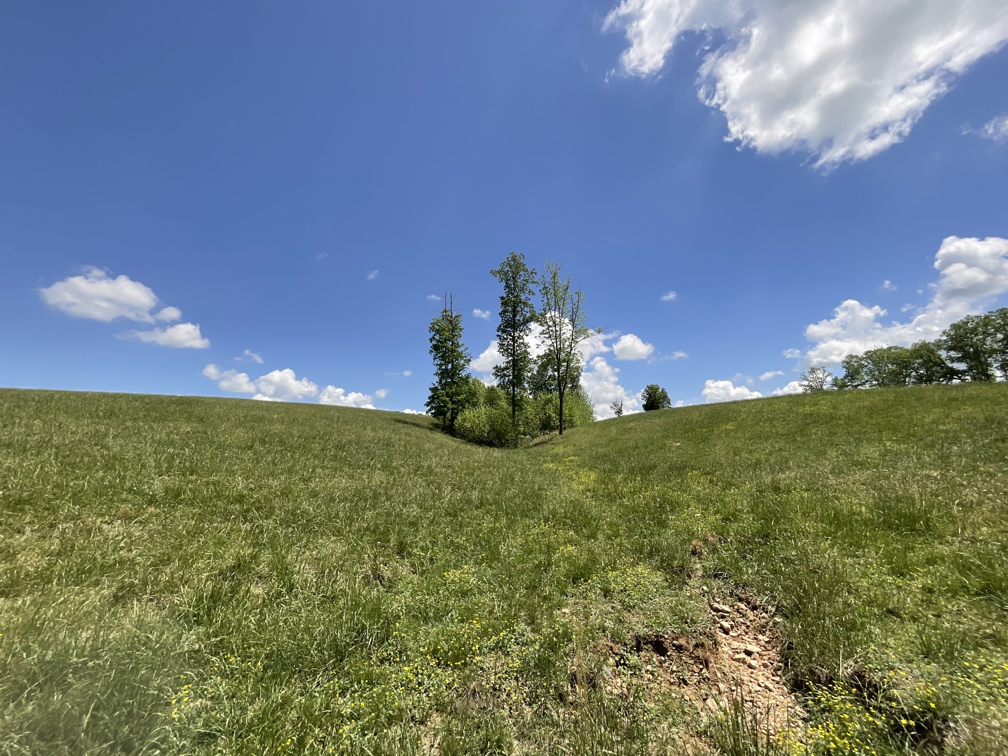 1 Brigham Branch Road Erin, TN 37061 - Photo 9 of 42 Gallery Image 9