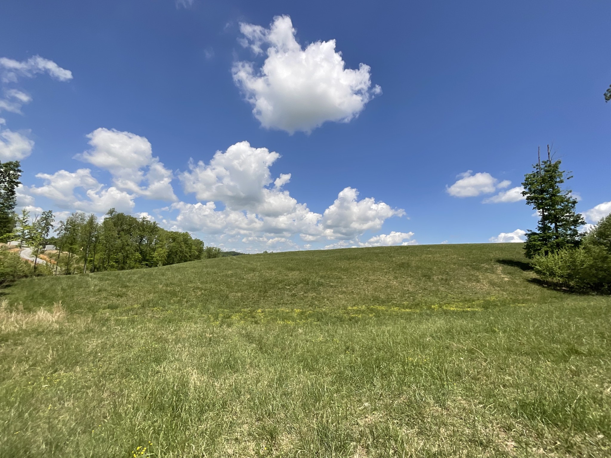 1 Brigham Branch Road Erin, TN 37061 - Photo 10 of 42 Gallery Image 10