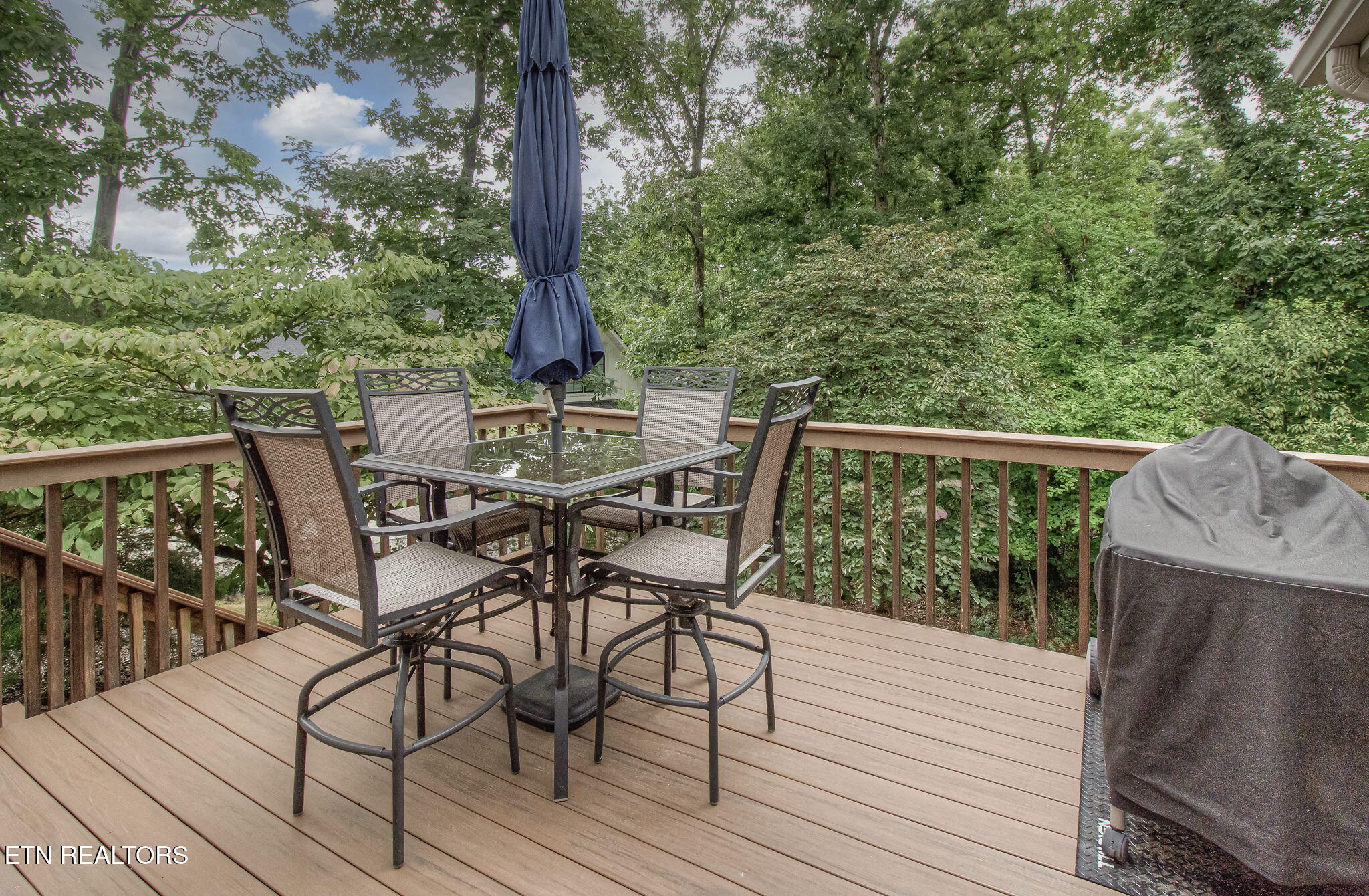 302 Tanasi Point Loudon, TN 37774 - Photo 29 of 60 IMG_2222