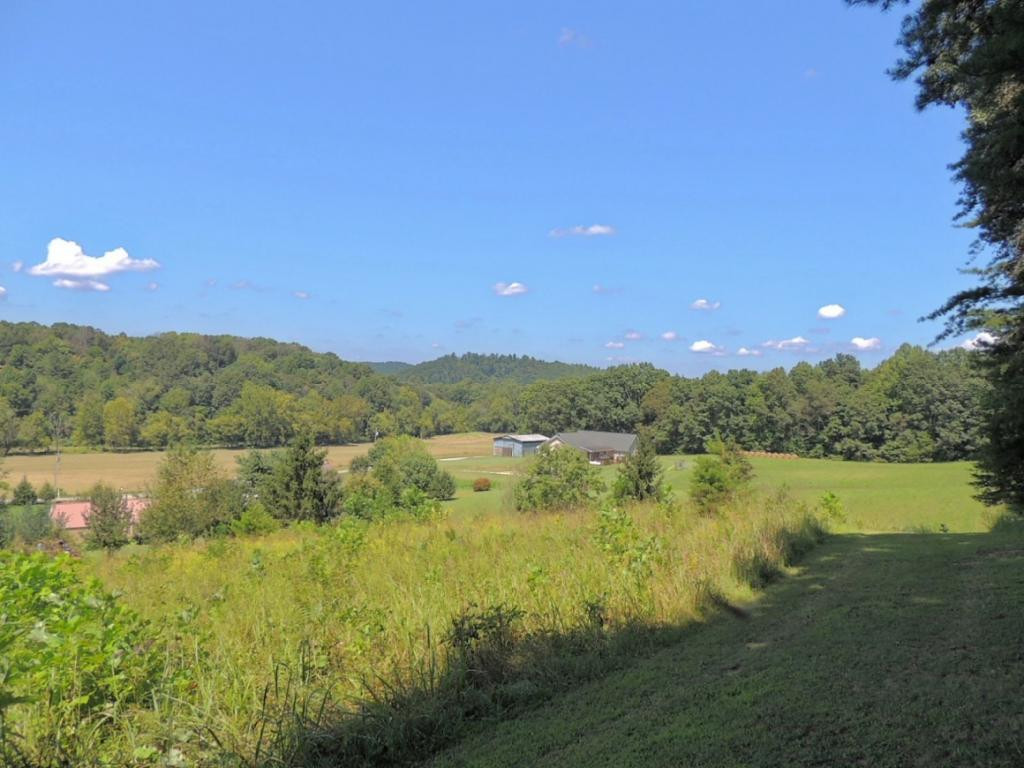 0 Tyne Gray Road, Unit 14 Afton, TN 37616 - Photo 3 of 10 Photo 3