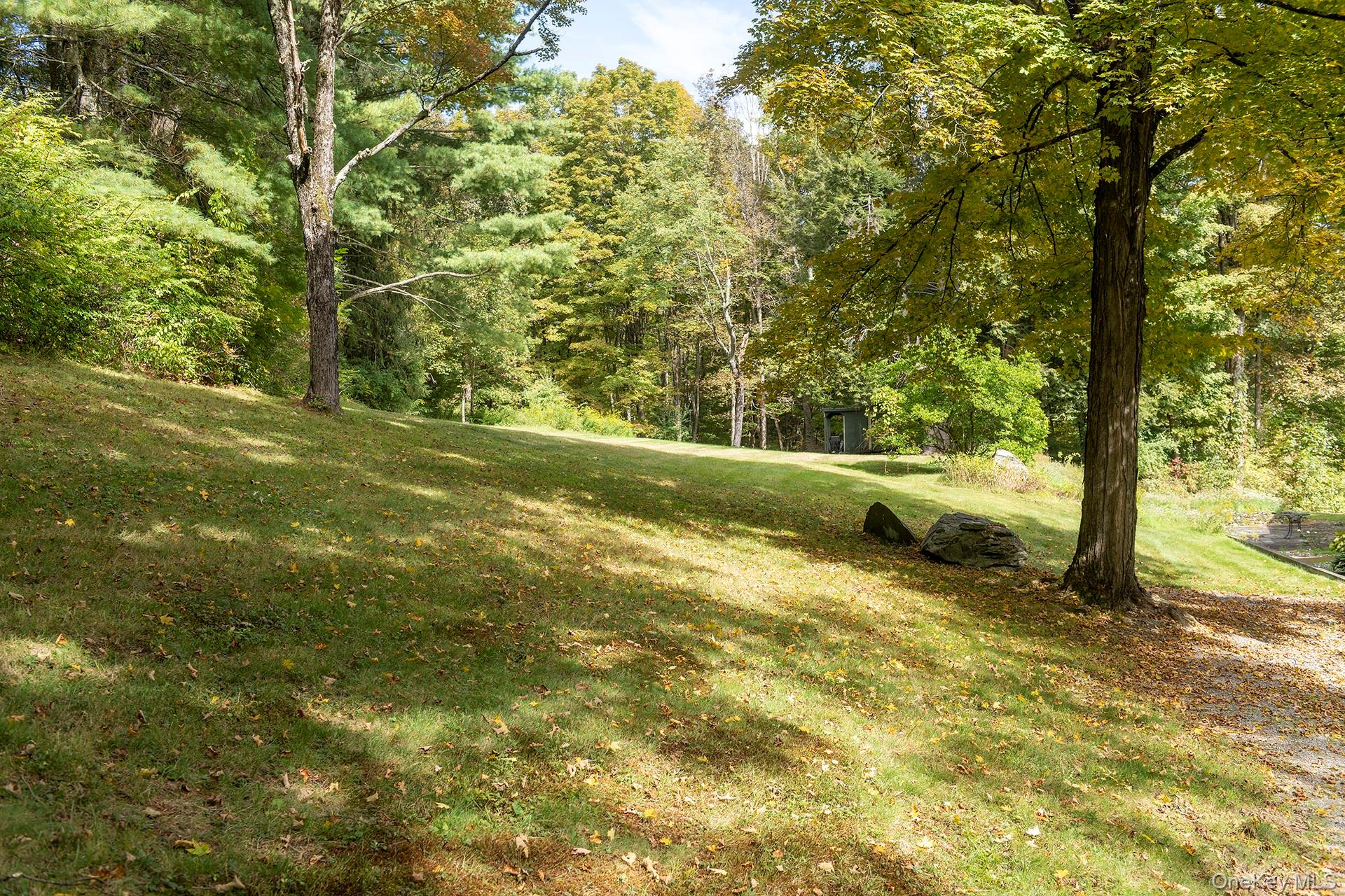 28 Clinton Corners Road Salt Point, NY 12578 - Photo 29 of 41 a view of a yard with plants and large trees