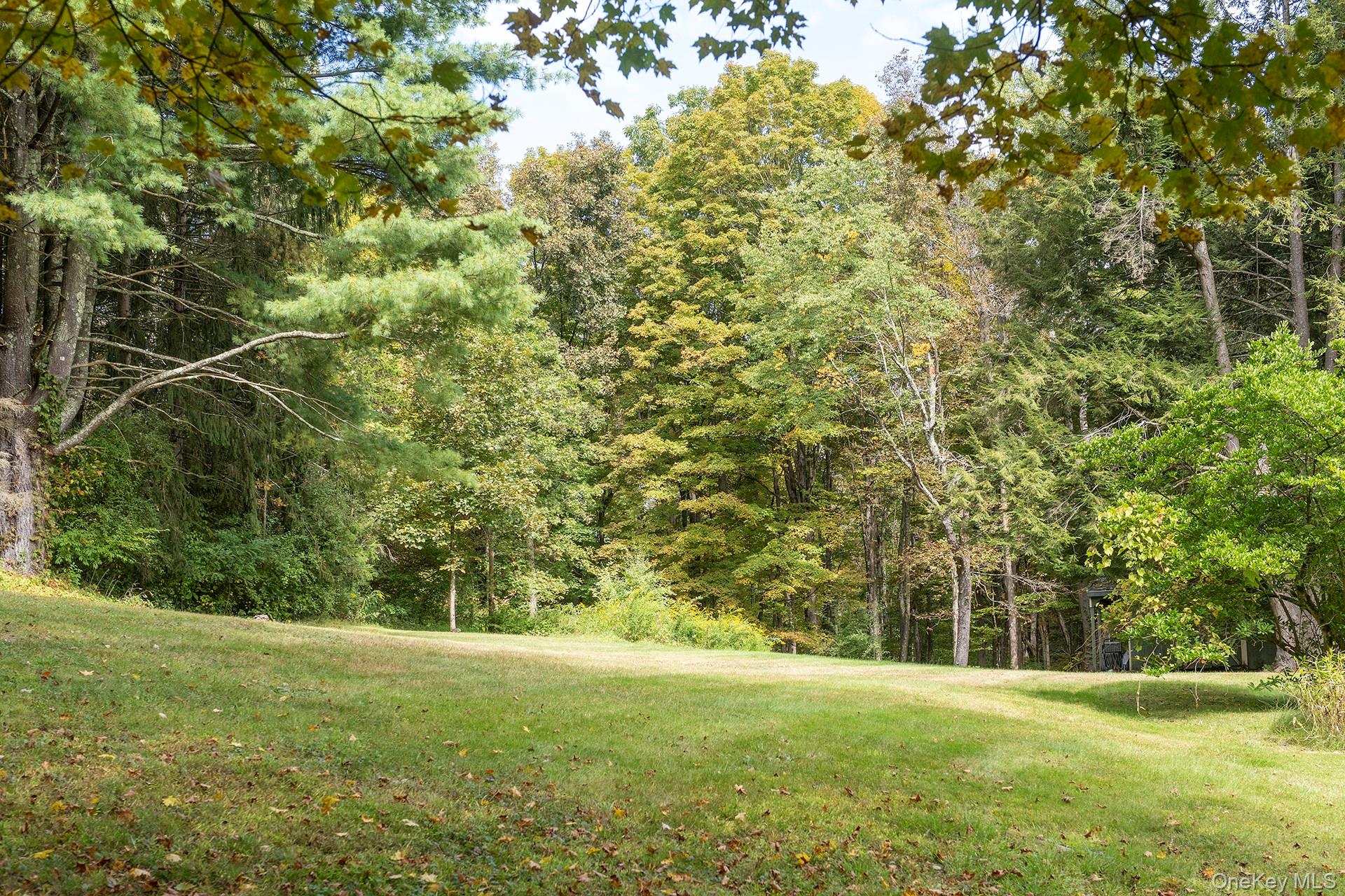 28 Clinton Corners Road Salt Point, NY 12578 - Photo 30 of 41 a view of a field with a trees in the background