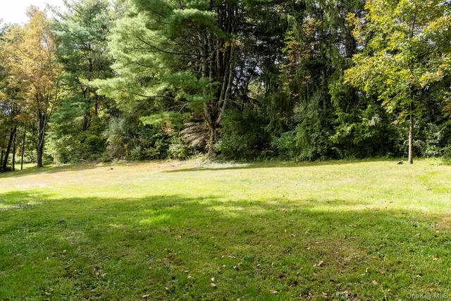 a view of an outdoor space and a yard
