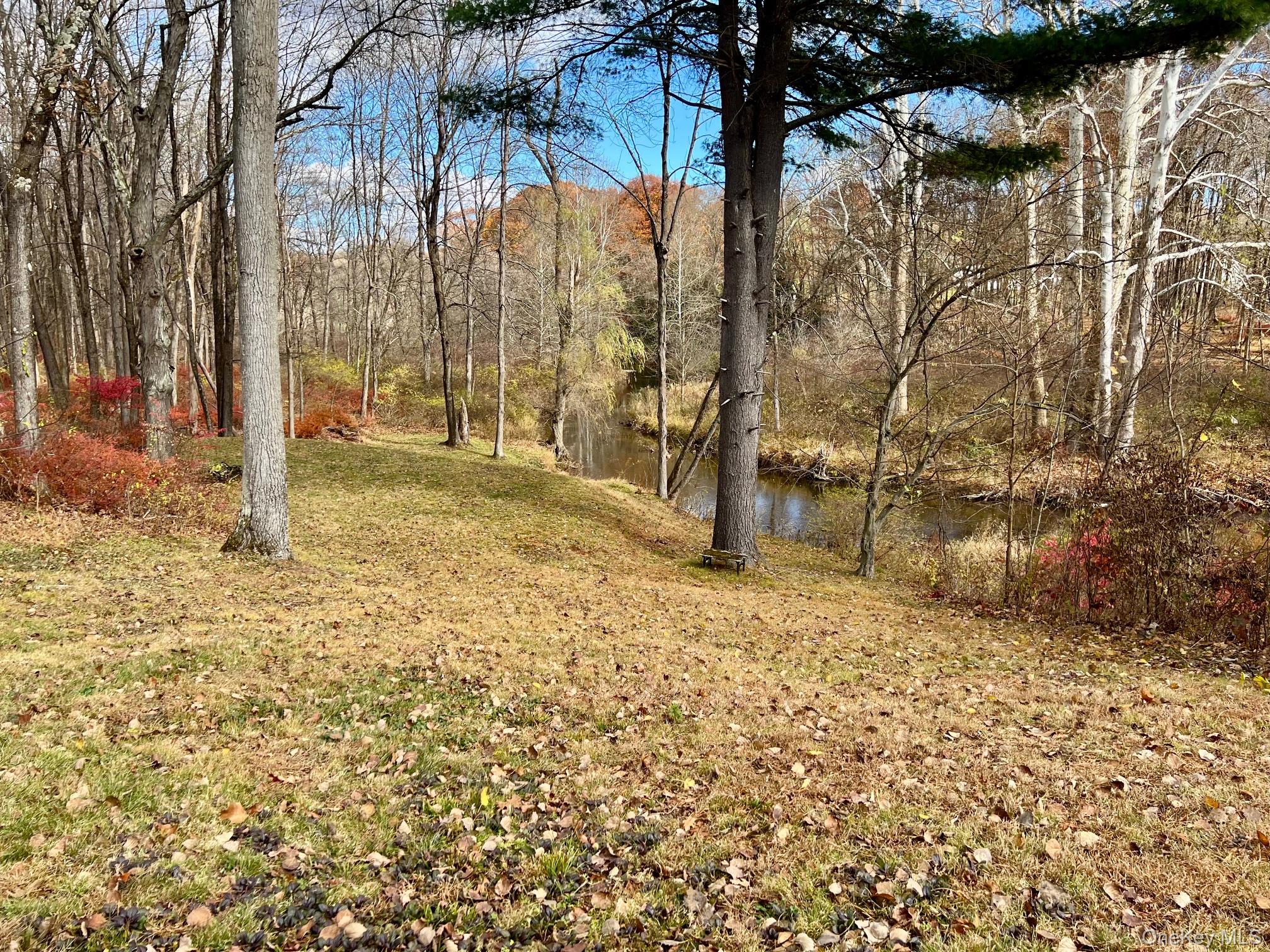 28 Clinton Corners Road Salt Point, NY 12578 - Photo 36 of 41 a view of a yard with plants and trees