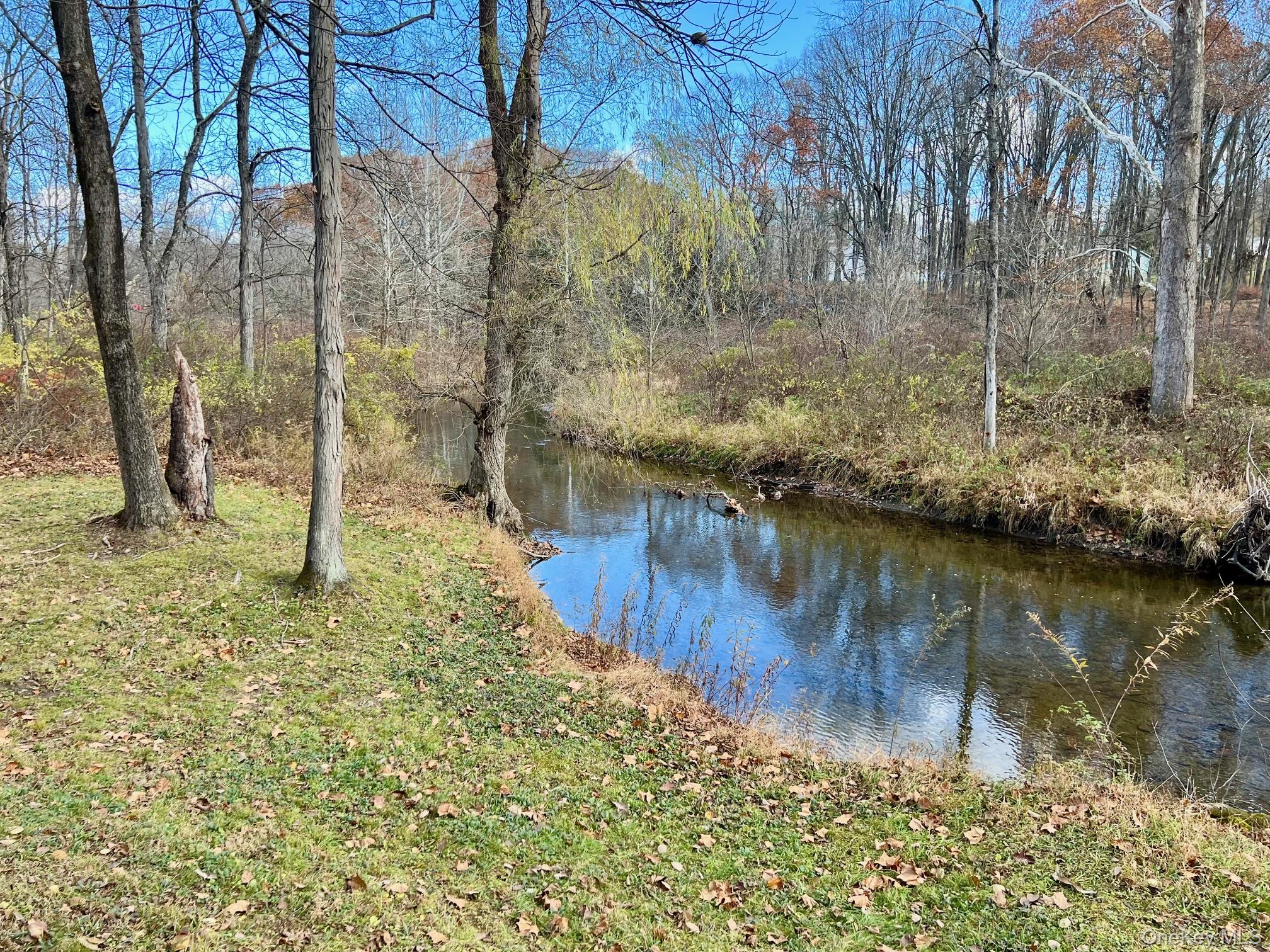 28 Clinton Corners Road Salt Point, NY 12578 - Photo 40 of 41 a backyard of a house with lots of green space