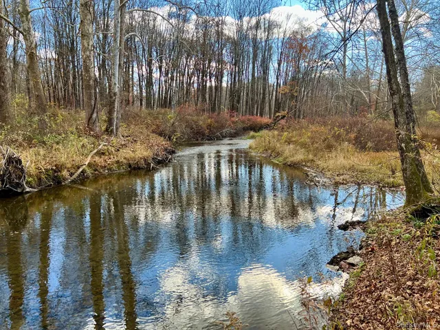 a view of swimming pool with a yard