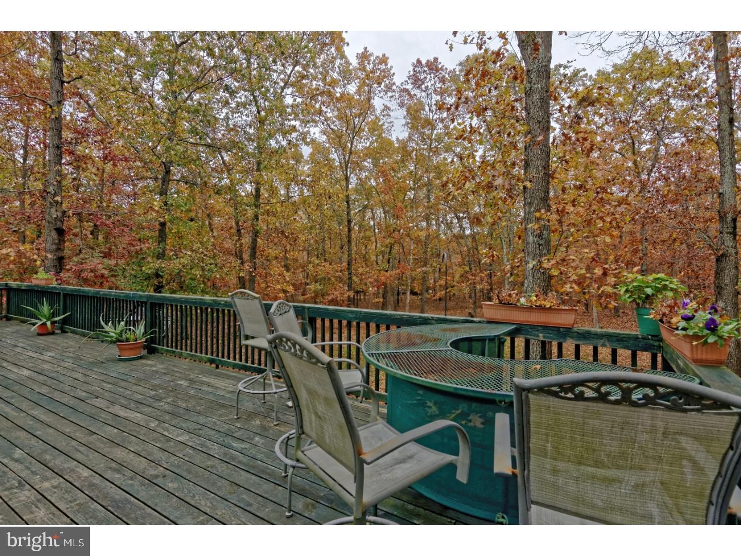320 Sooy Place Road Vincentown, NJ 08088 - Photo 23 of 25 Gallery Image 23