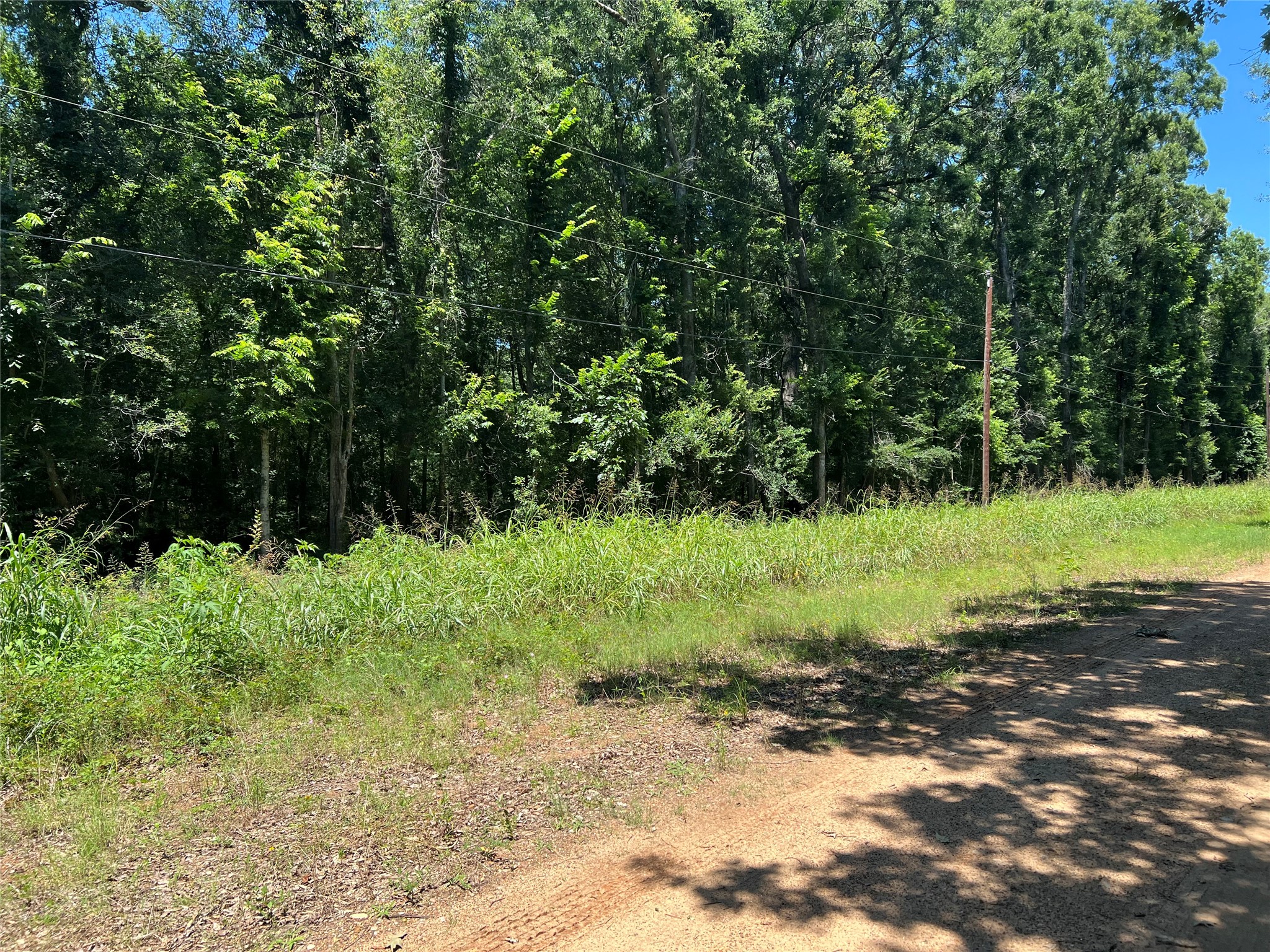 0 Holt Street Coldspring, TX 77331 - Photo 2 of 4