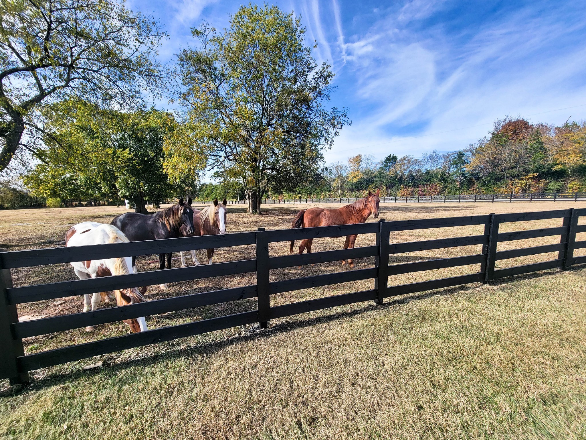 10865 Taylor Road Rockvale, TN 37153 - Photo 50 of 56 Gallery Image 50