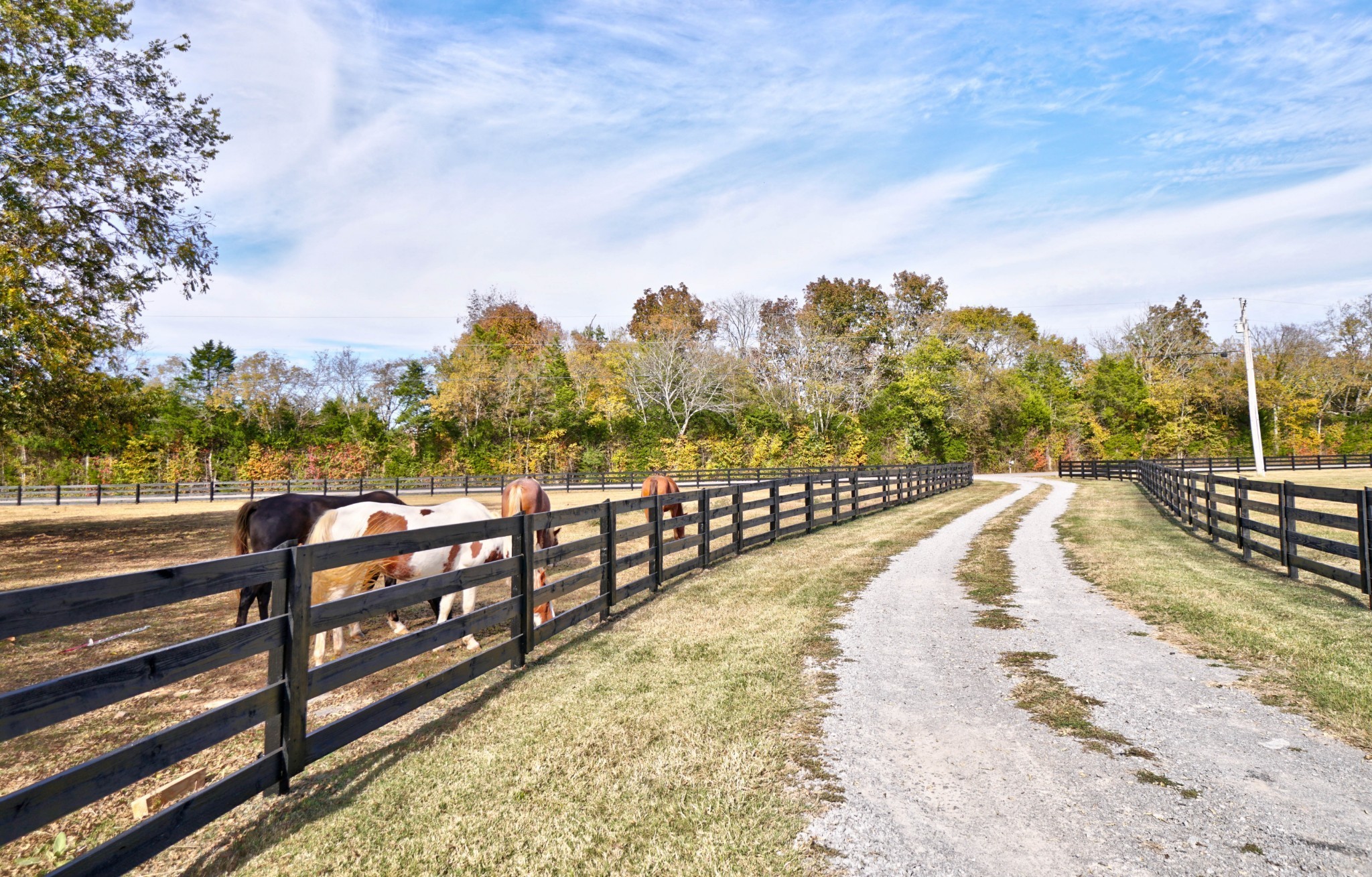 10865 Taylor Road Rockvale, TN 37153 - Photo 6 of 56 Gallery Image 6