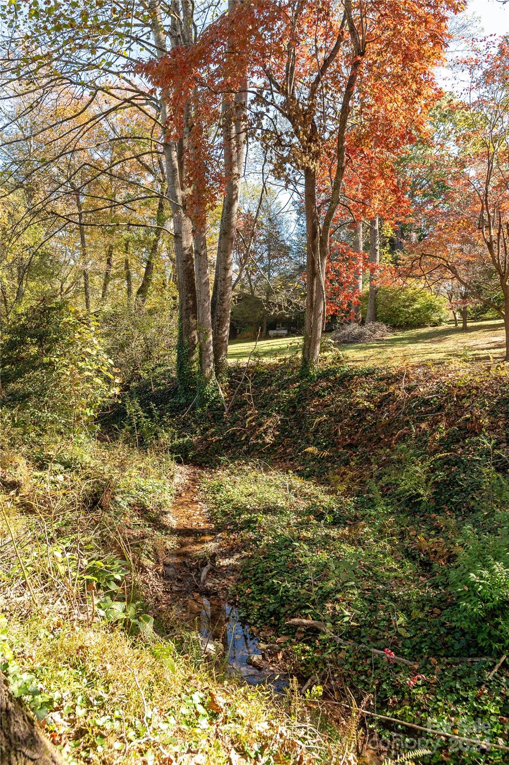 3199 Butler Bridge Road Mills River, NC 28759 - Photo 24 of 26 Gallery Image 24