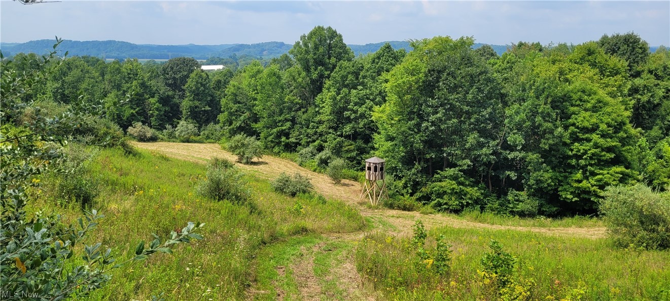 Southeast Edwards Ridge Road Southeast Uhrichsville, OH 44683 - Photo 11 of 34 Gallery Image 11