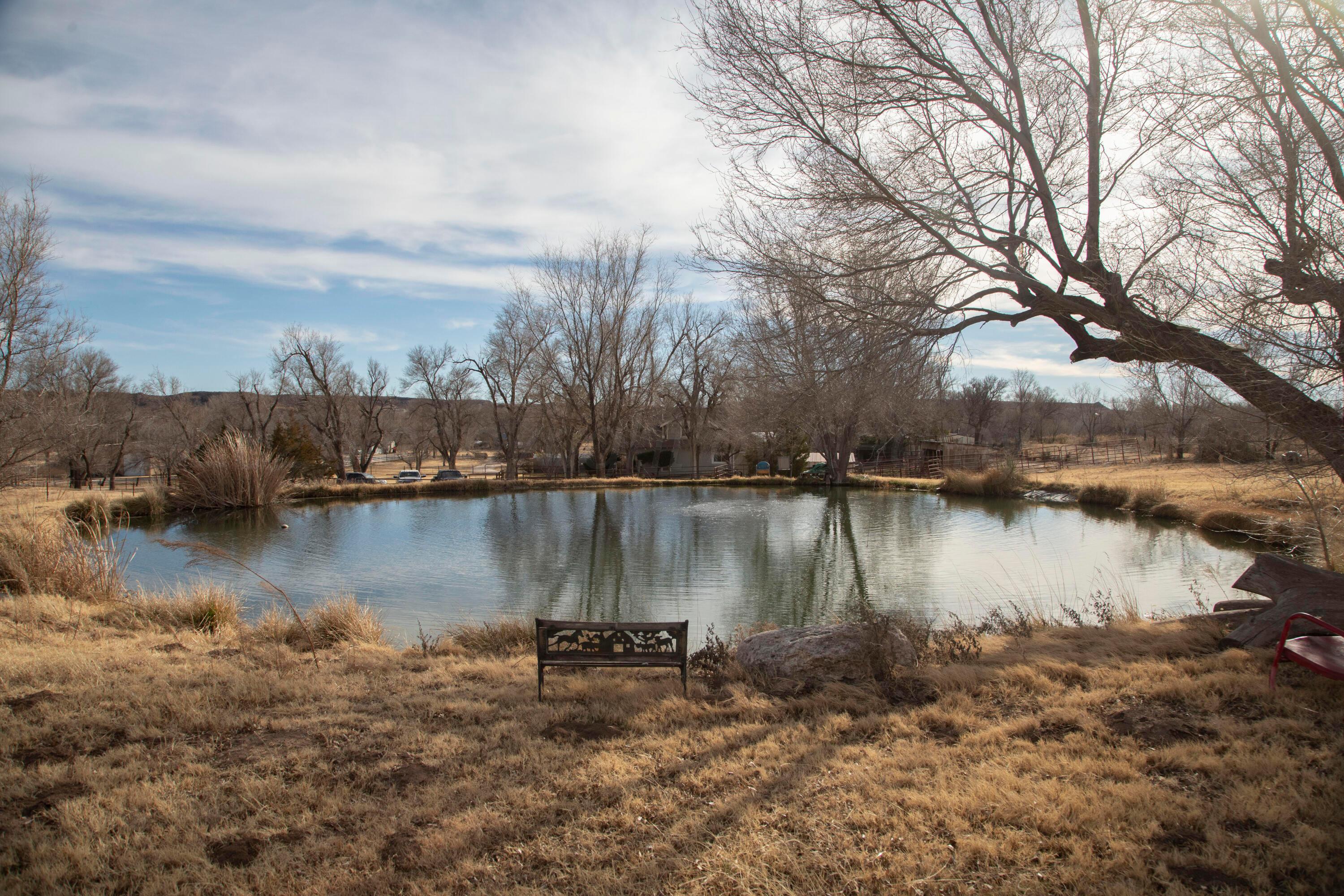 1005 Lion Street Miami, TX 79059 - Photo 4 of 41 4V5A5504