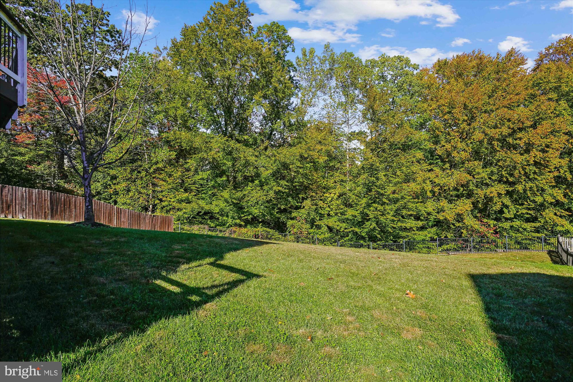 3318 Eagle Ridge Drive Woodbridge, VA 22191 - Photo 51 of 72 Back Yard