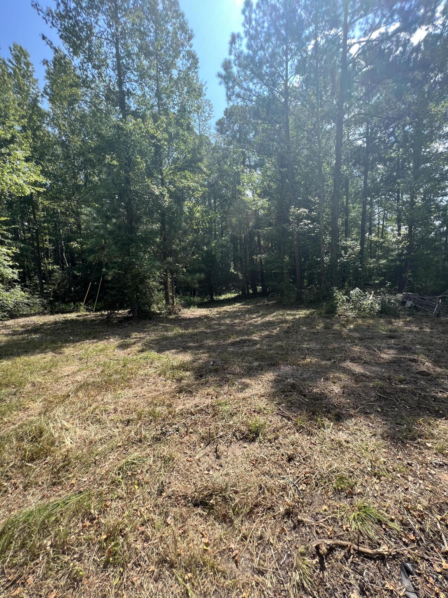 2138 Poor Boy Road Leesville, SC 29070 - Photo 4 of 11