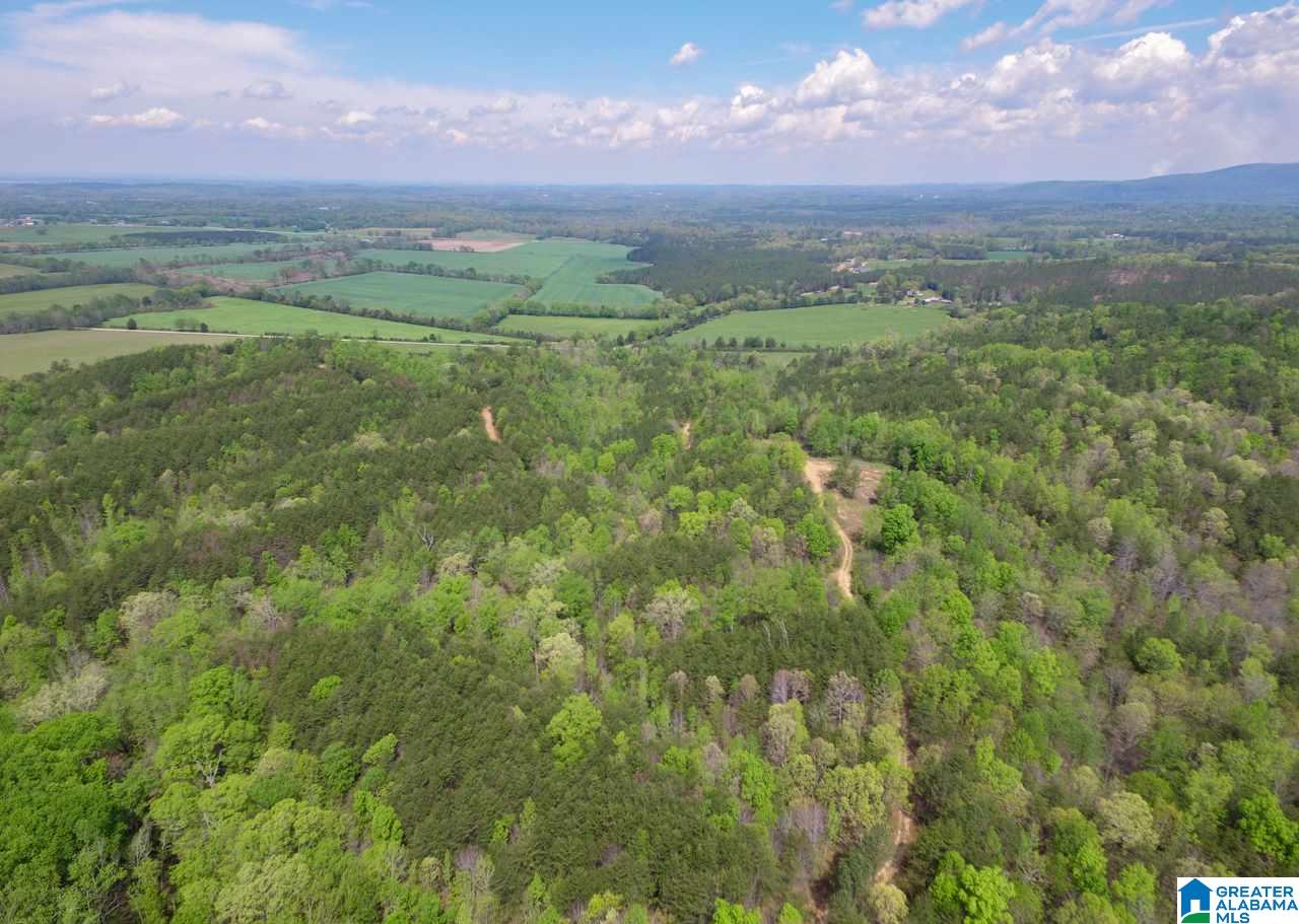 0 Henderson Lake Road, Unit 128 Munford, AL 36268 - Photo 26 of 31