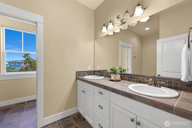 a view of a backyard with plants