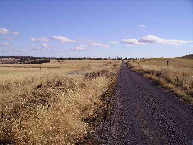 0 Bachelor Flat Road Curlew, WA 99118 - Photo 7 of 8 Gallery Image 7