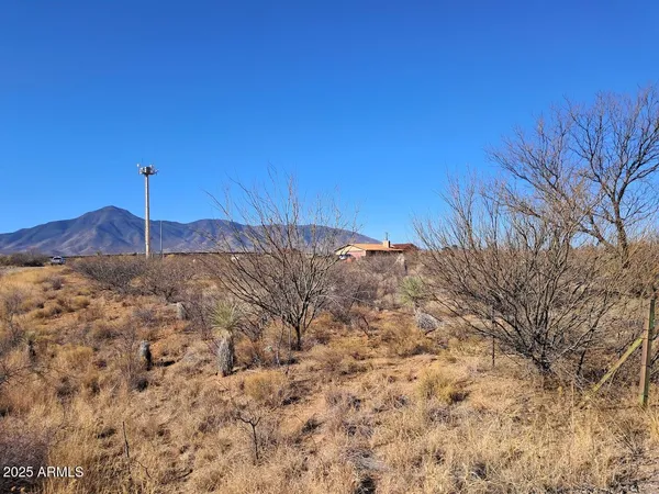 $54,999 | Tbd West Newell Street, Unit 10257332, Naco, AZ 85620