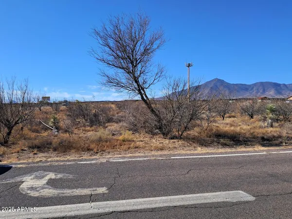 a view of a yard with a house