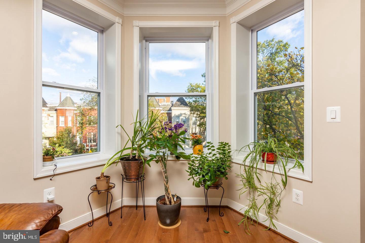 59 R Street Northeast, Unit 2 Washington, DC 20002 - Photo 9 of 23