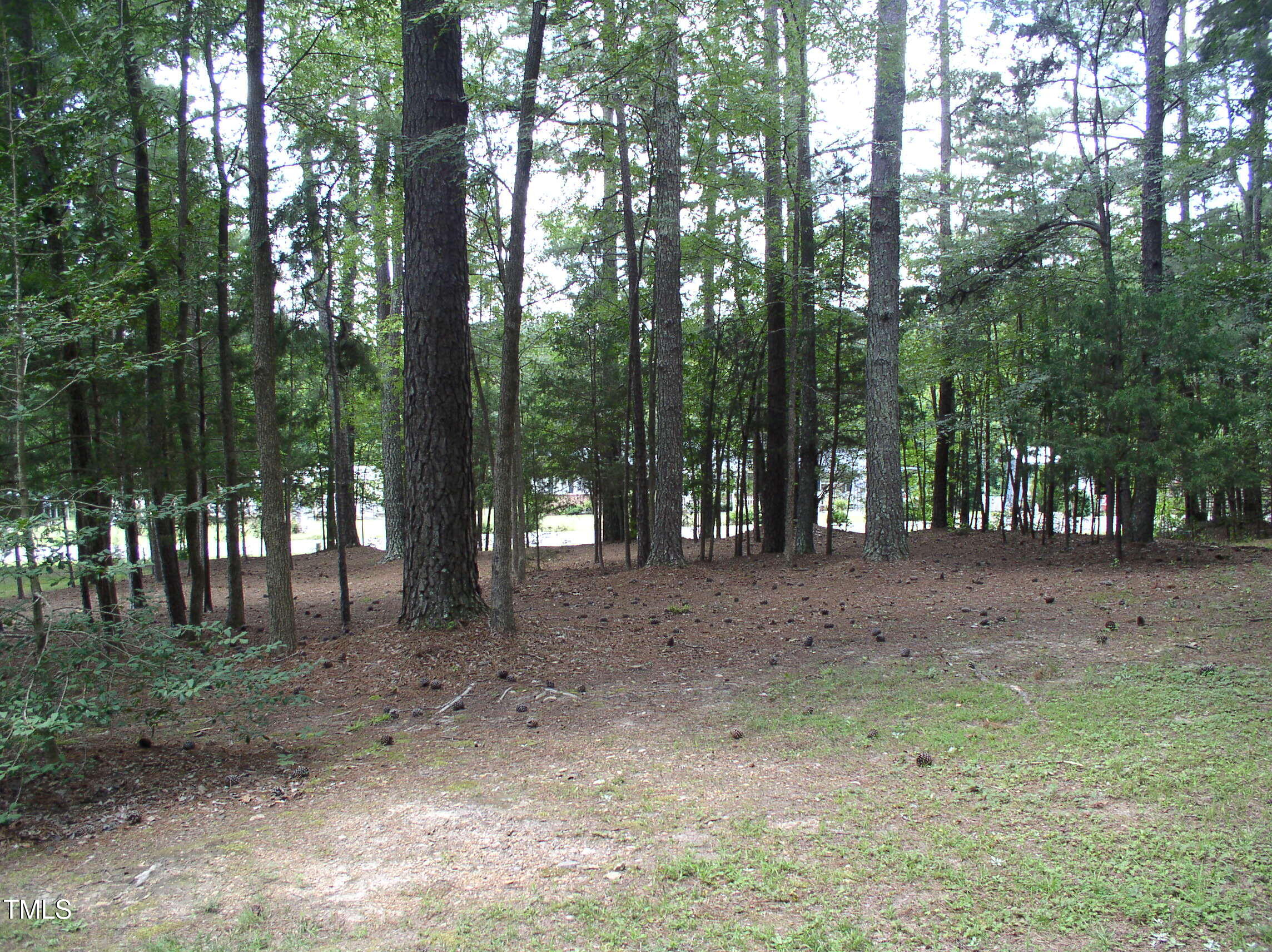 6708 Old Roxboro Road Oxford, NC 27565 - Photo 37 of 42 P1010049