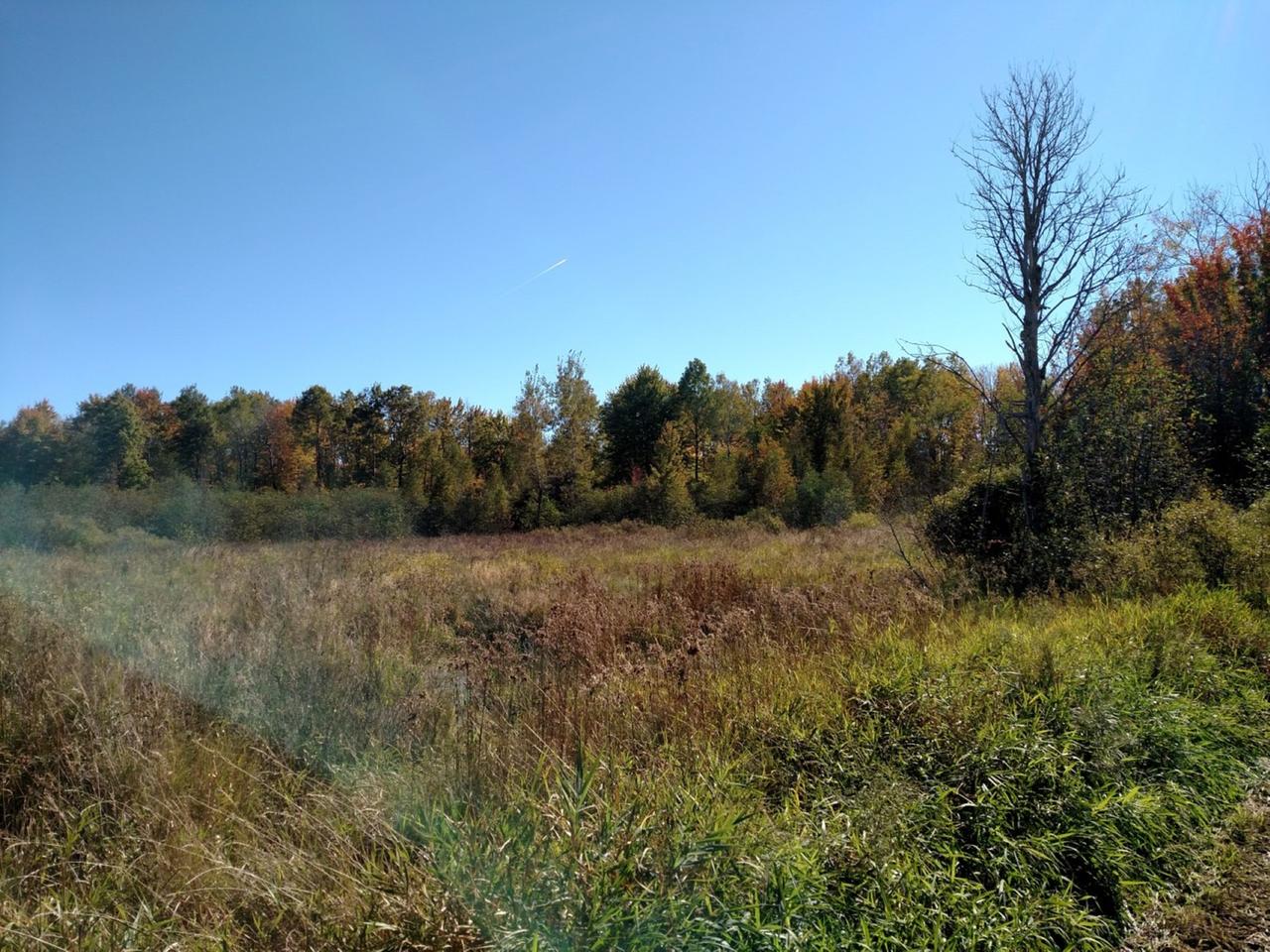 N502 Shauger Road Ogema, WI 54459 - Photo 18 of 52 Gallery Image 18