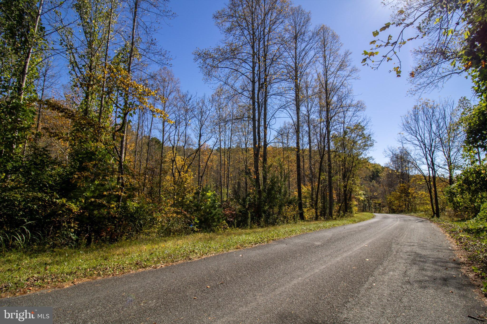 Republican Church, Unit 2 Ferrum, VA 24088 - Photo 36 of 48 a view of road and trees