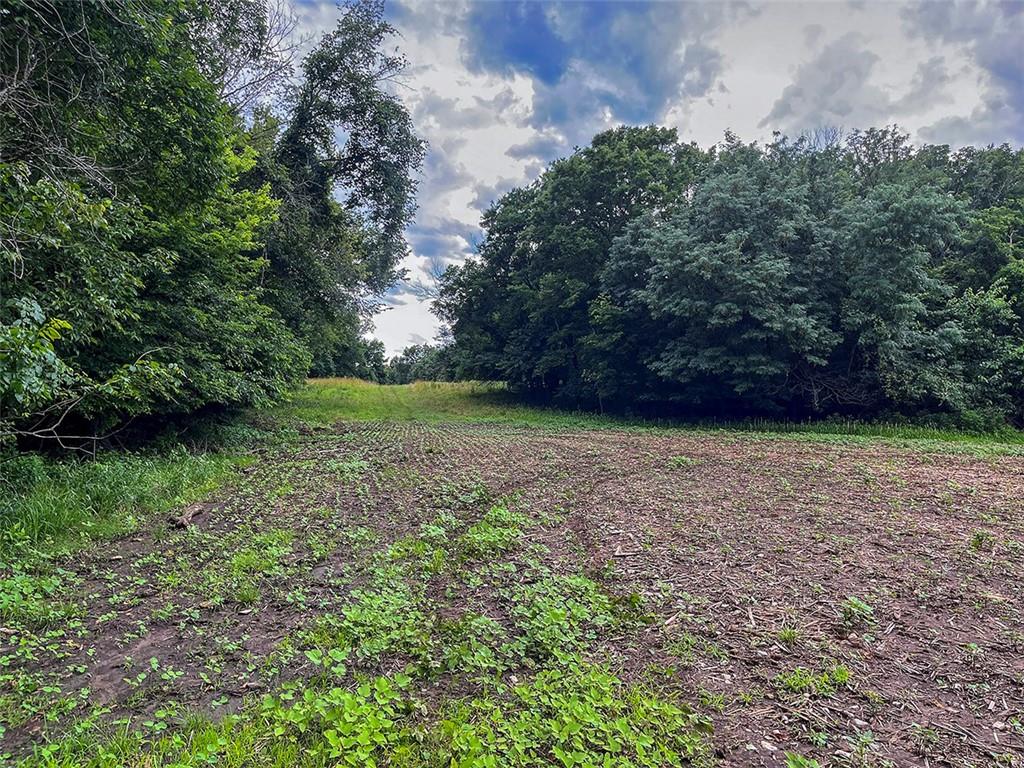Tbd Road Rich Hill, MO 64779 - Photo 5 of 19