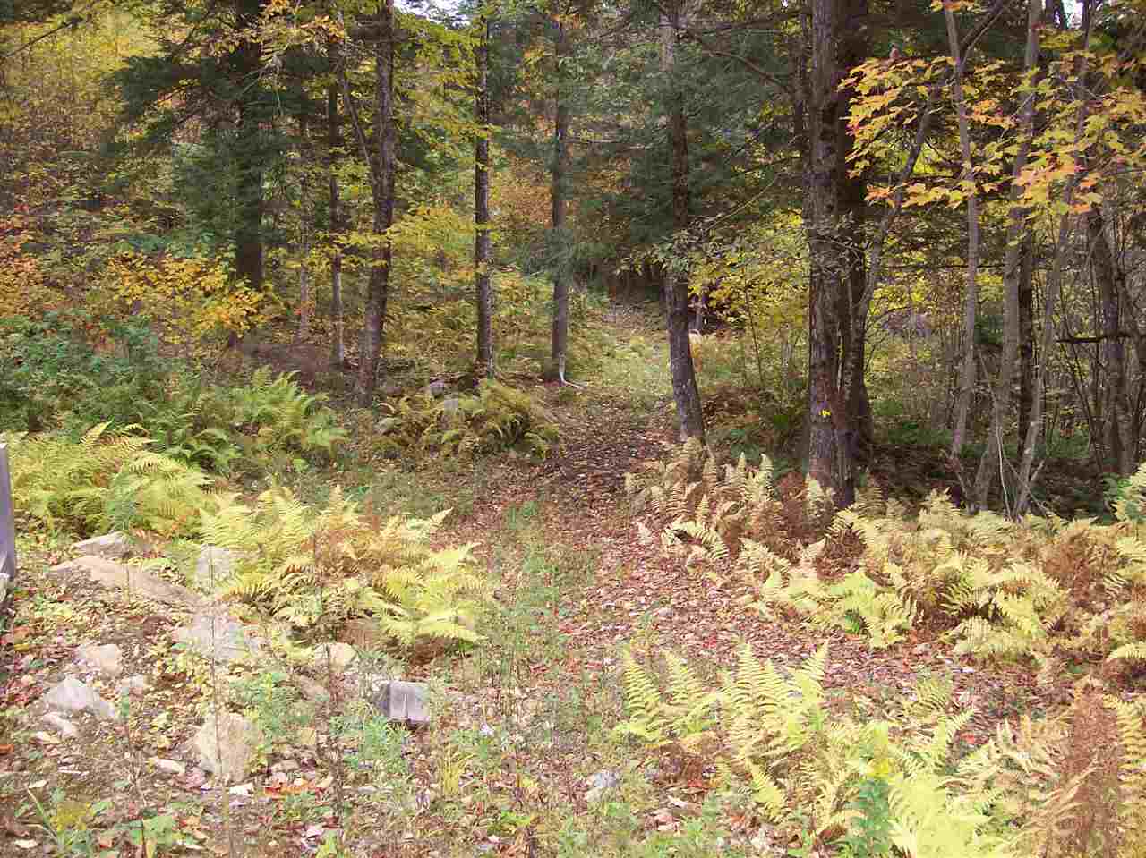189 Lynn Hill Road Acworth, NH 03601 - Photo 4 of 4
