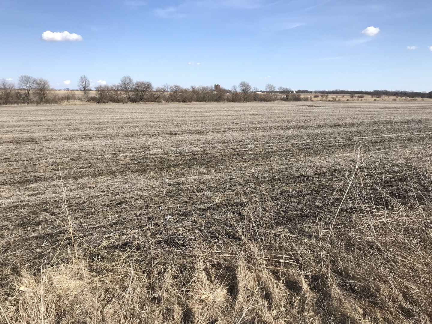 15420 County Line Road Sheridan, IL 60541 - Photo 1 of 1
