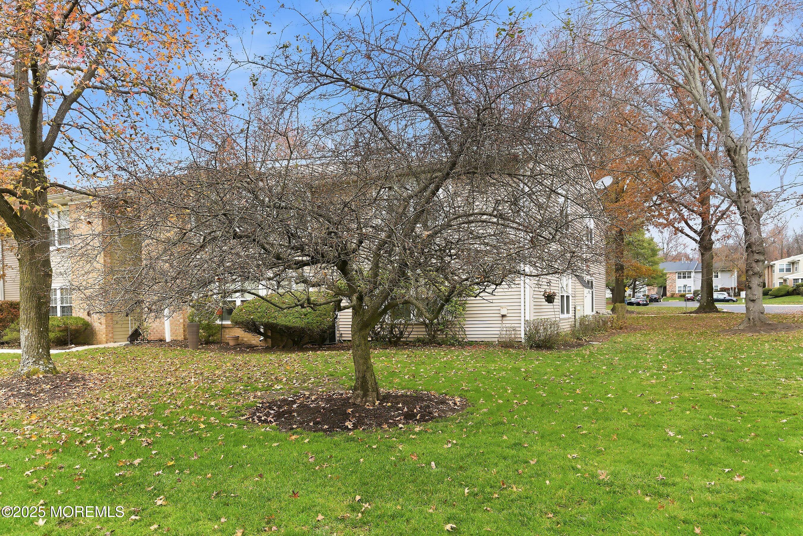 7 Boxwood Terrace, Unit 250 Red Bank, NJ 07701 - Photo 19 of 29 a view of a garden with trees