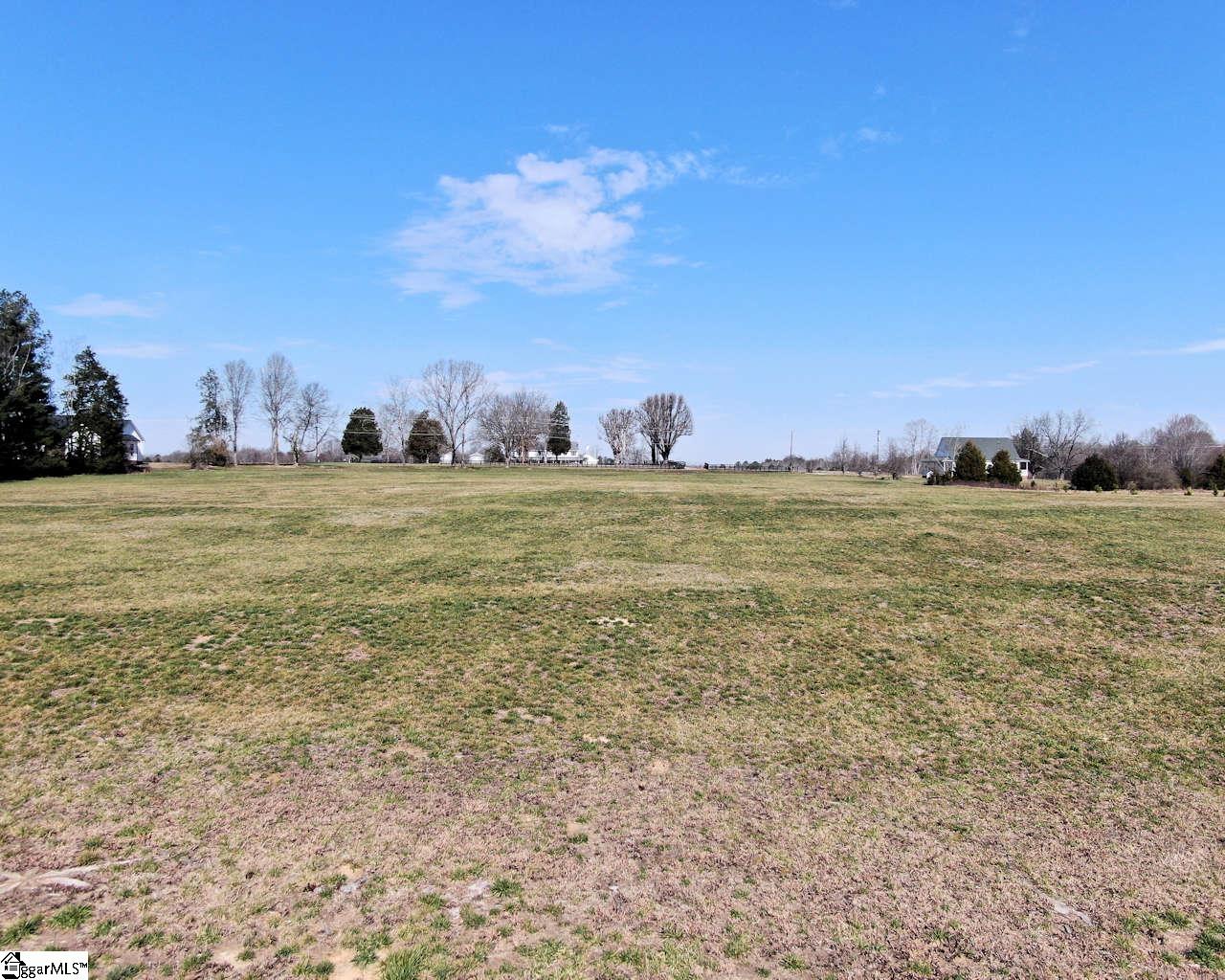 Old Hundred Road Pelzer, SC 29669 - Photo 9 of 10